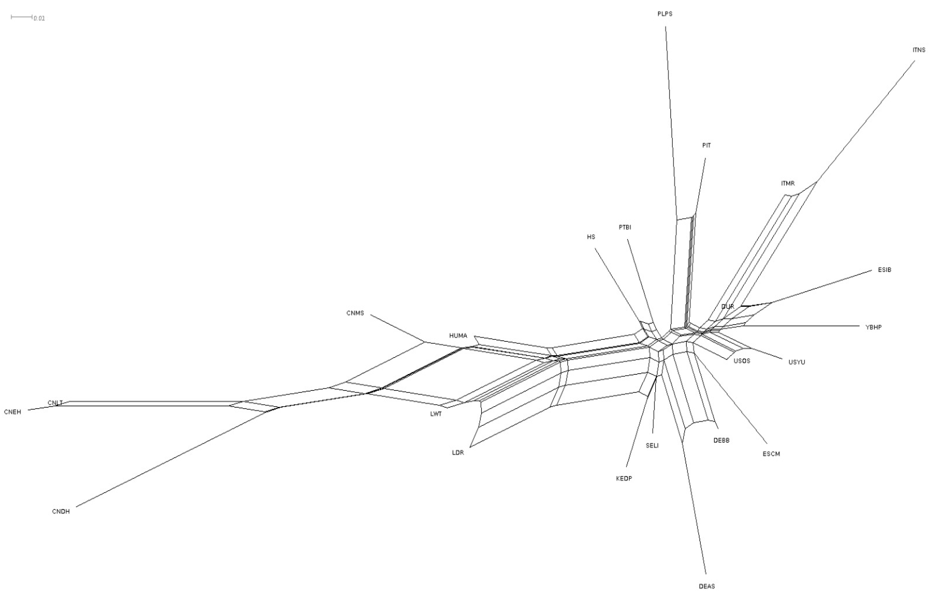 Vetsci 12 00755 g002