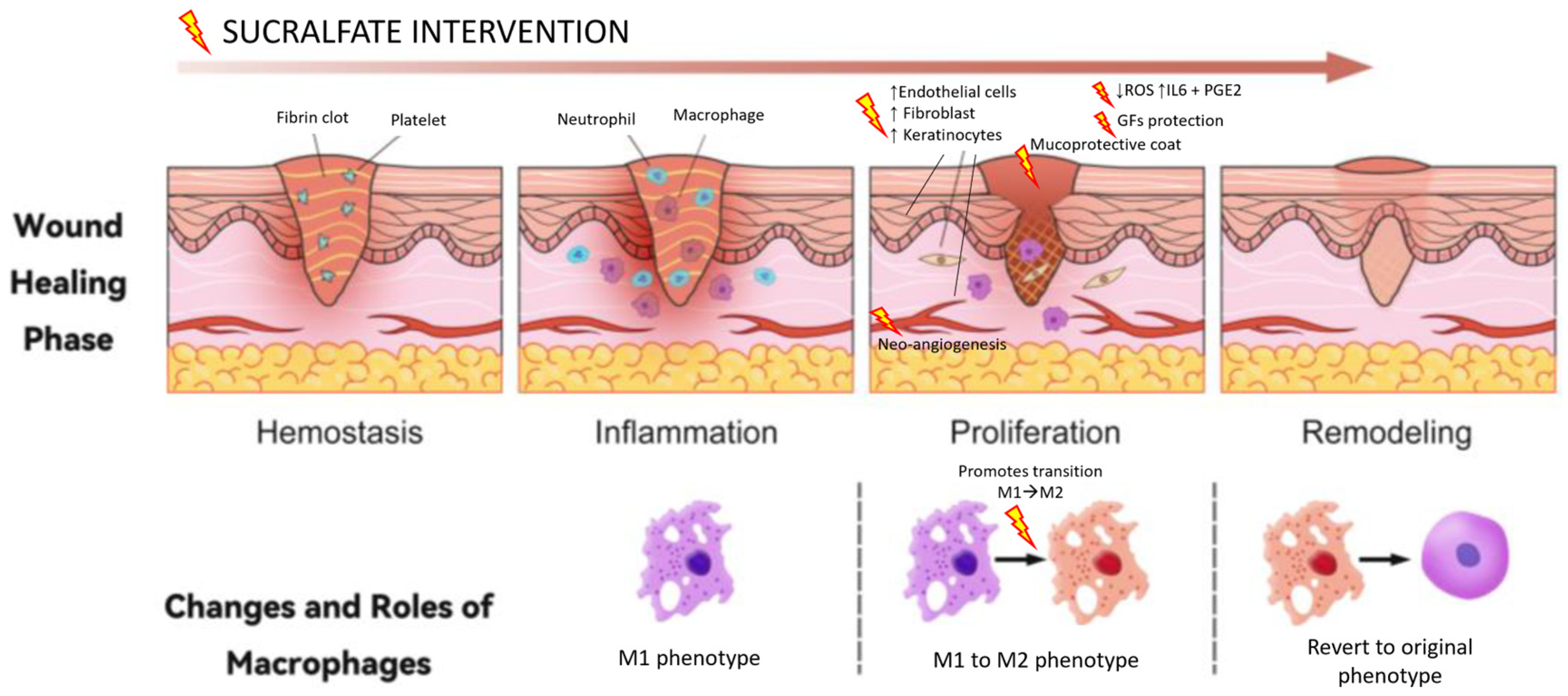 Vetsci 12 00756 g002 Vetsci 12 00756 g002