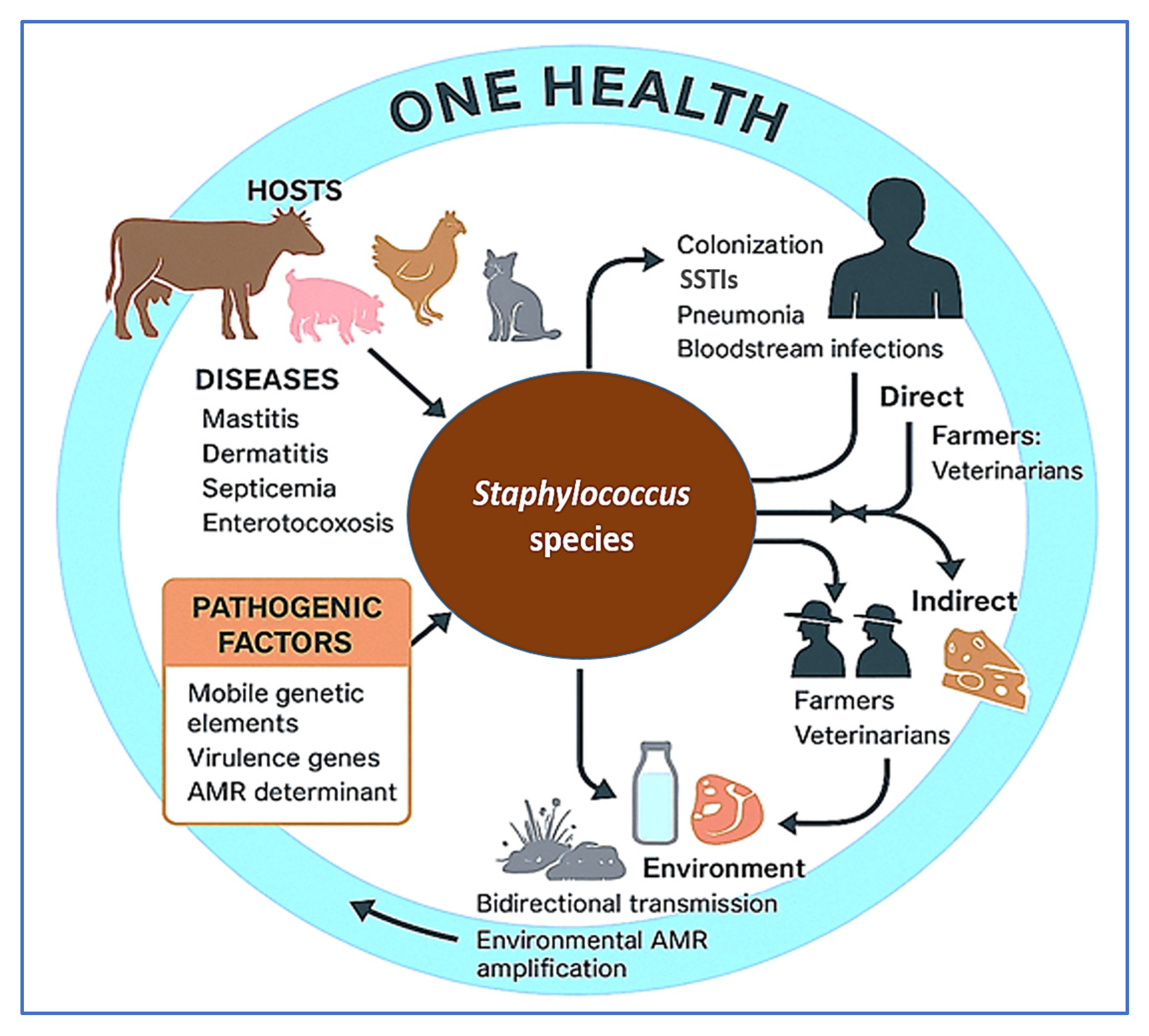 Vetsci 12 00757 g001