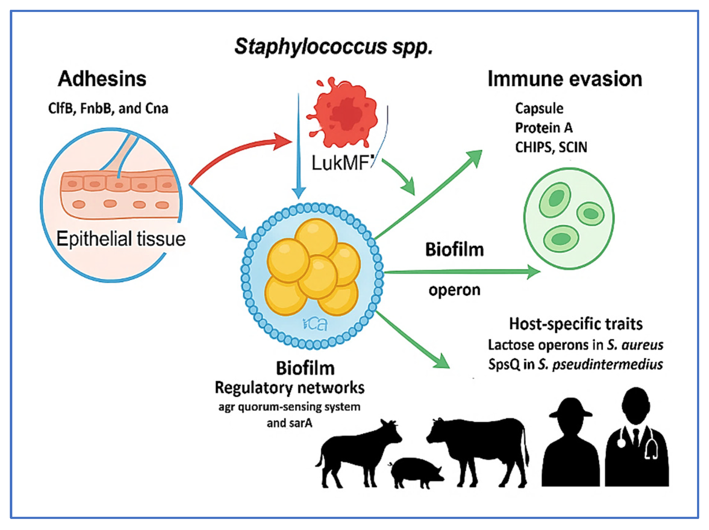 Vetsci 12 00757 g003