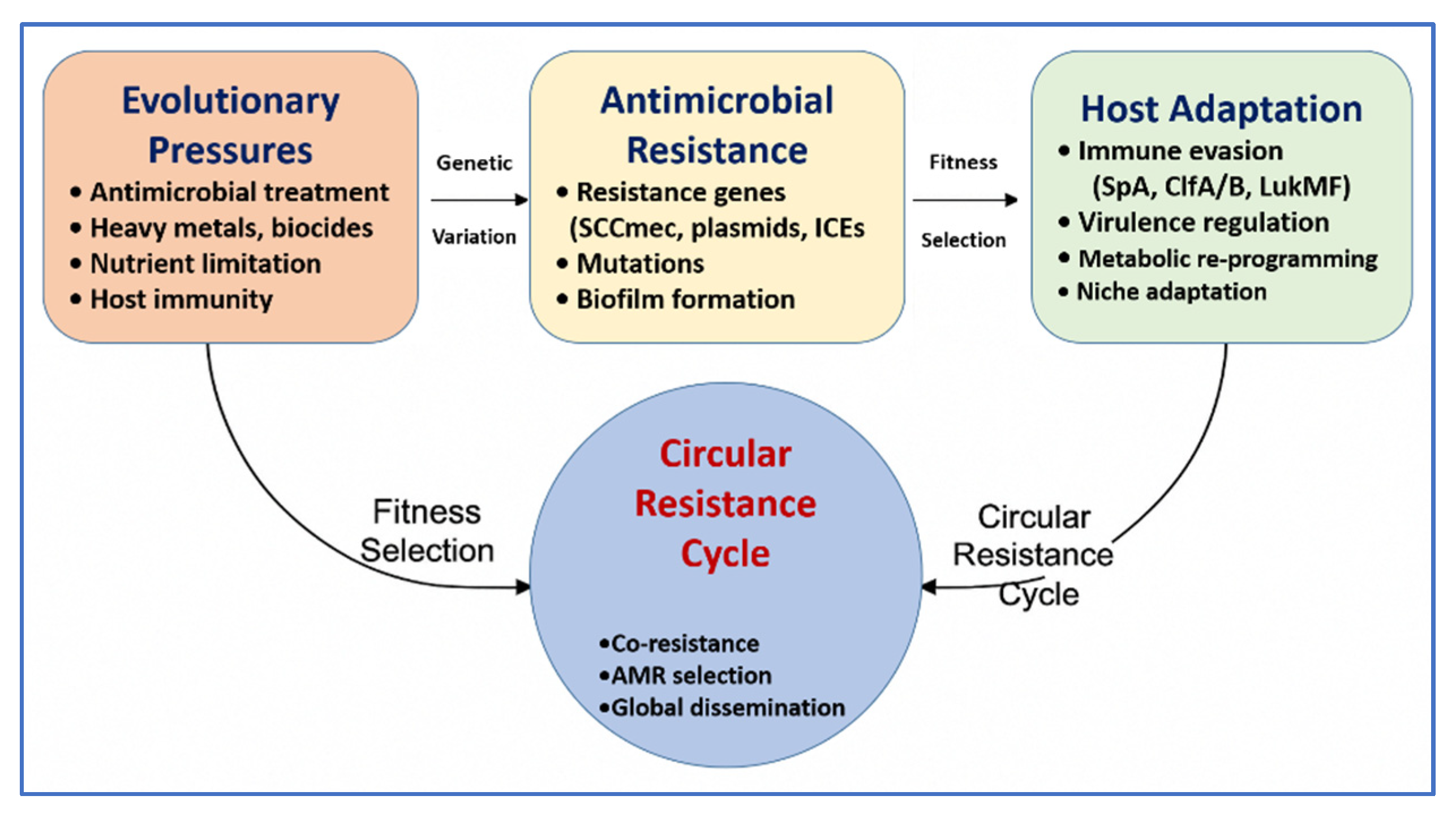 Vetsci 12 00757 g005