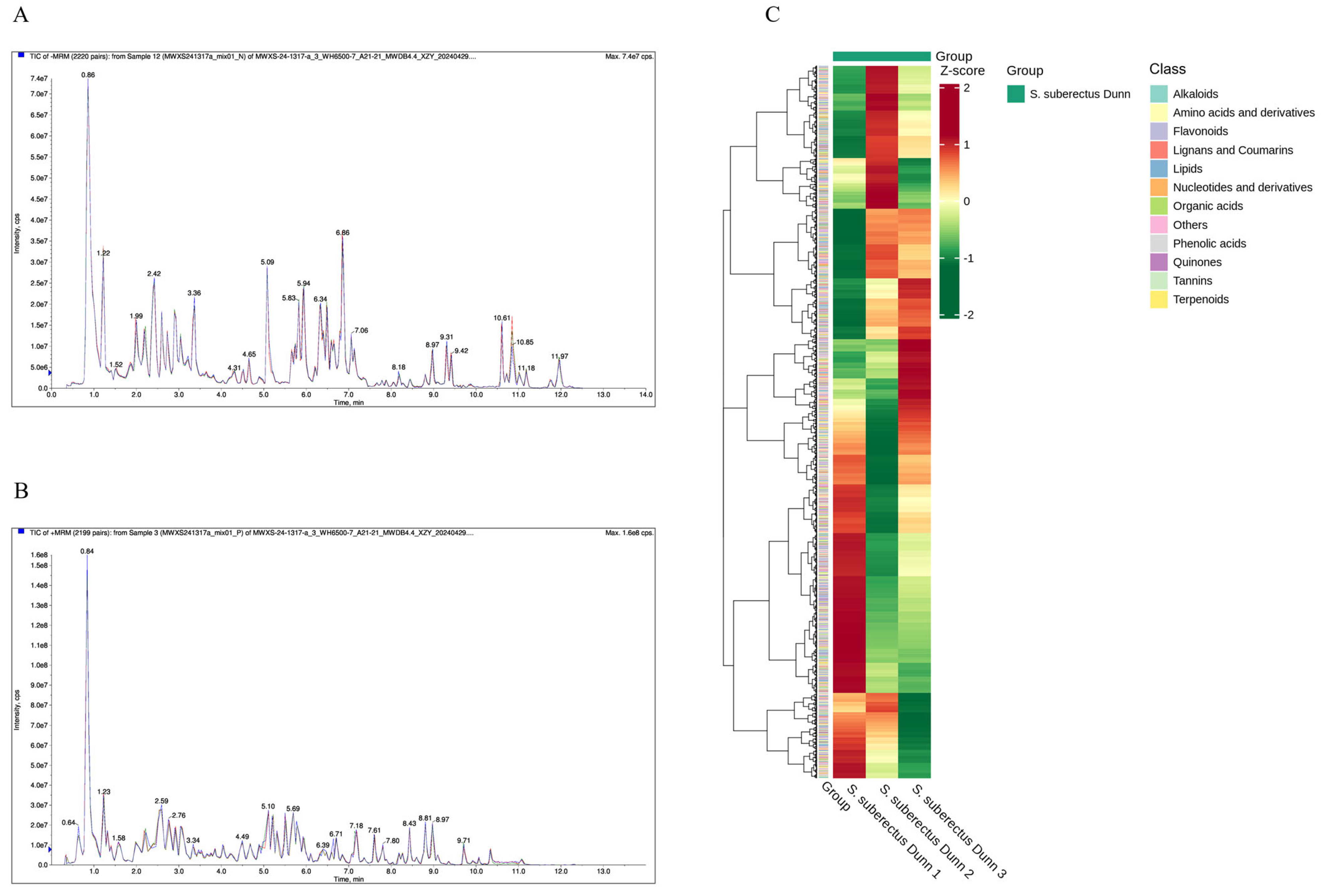 Vetsci 12 00762 g001 Vetsci 12 00762 g001
