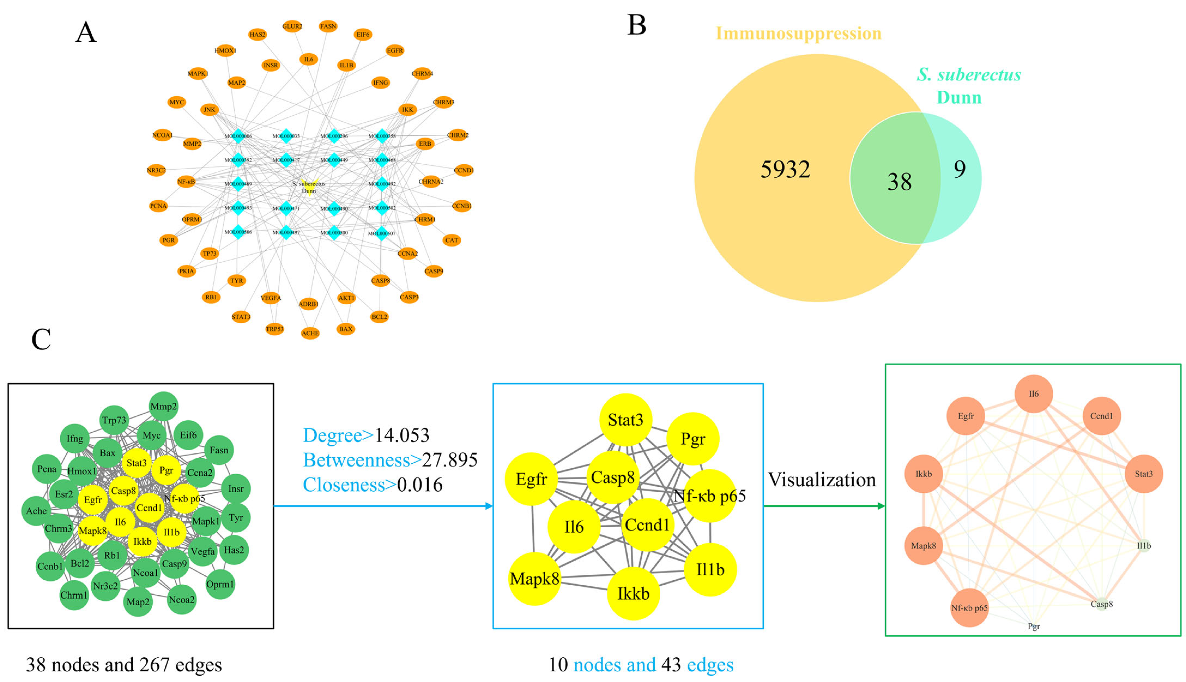 Vetsci 12 00762 g002 Vetsci 12 00762 g002
