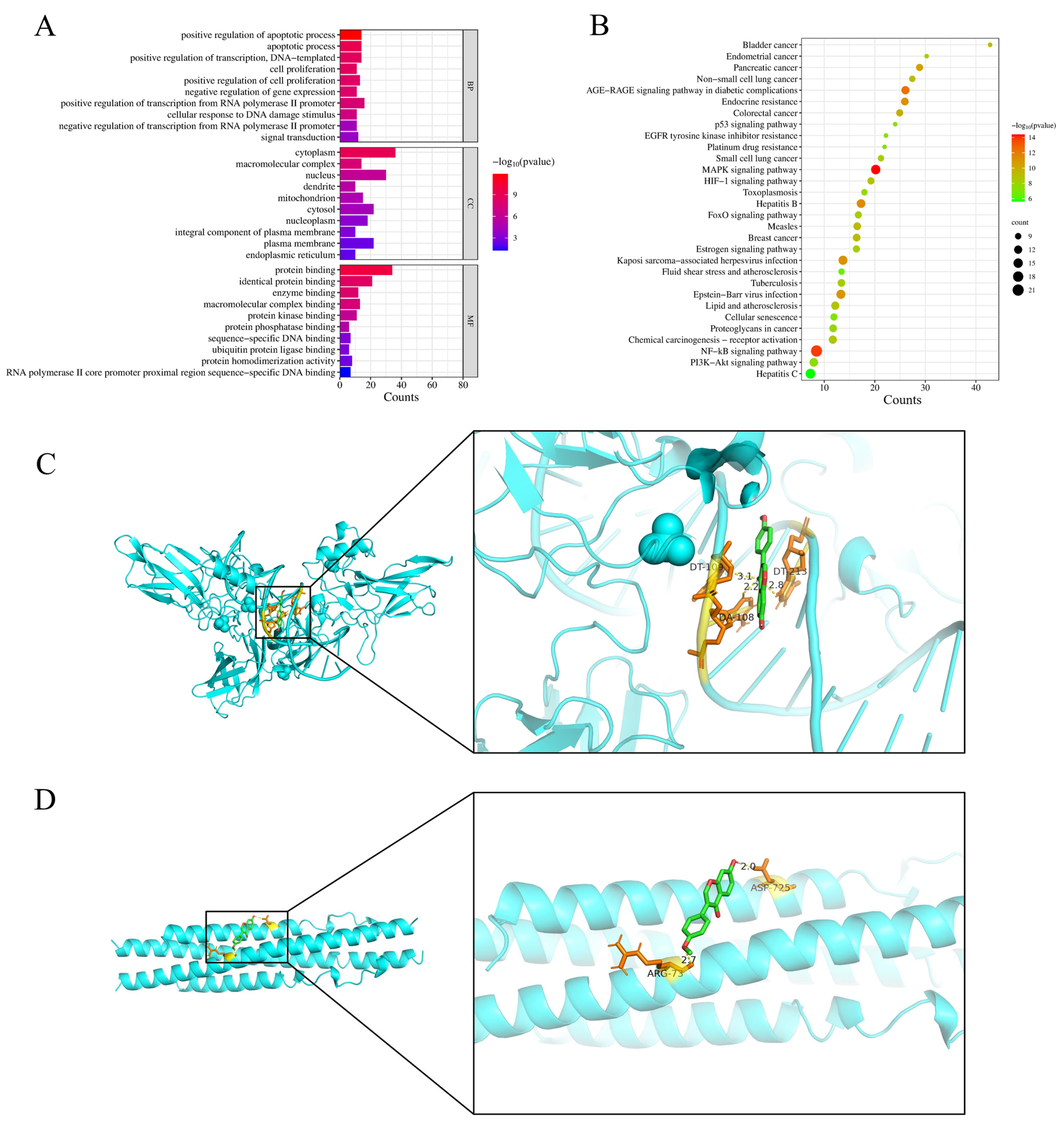 Vetsci 12 00762 g003 Vetsci 12 00762 g003