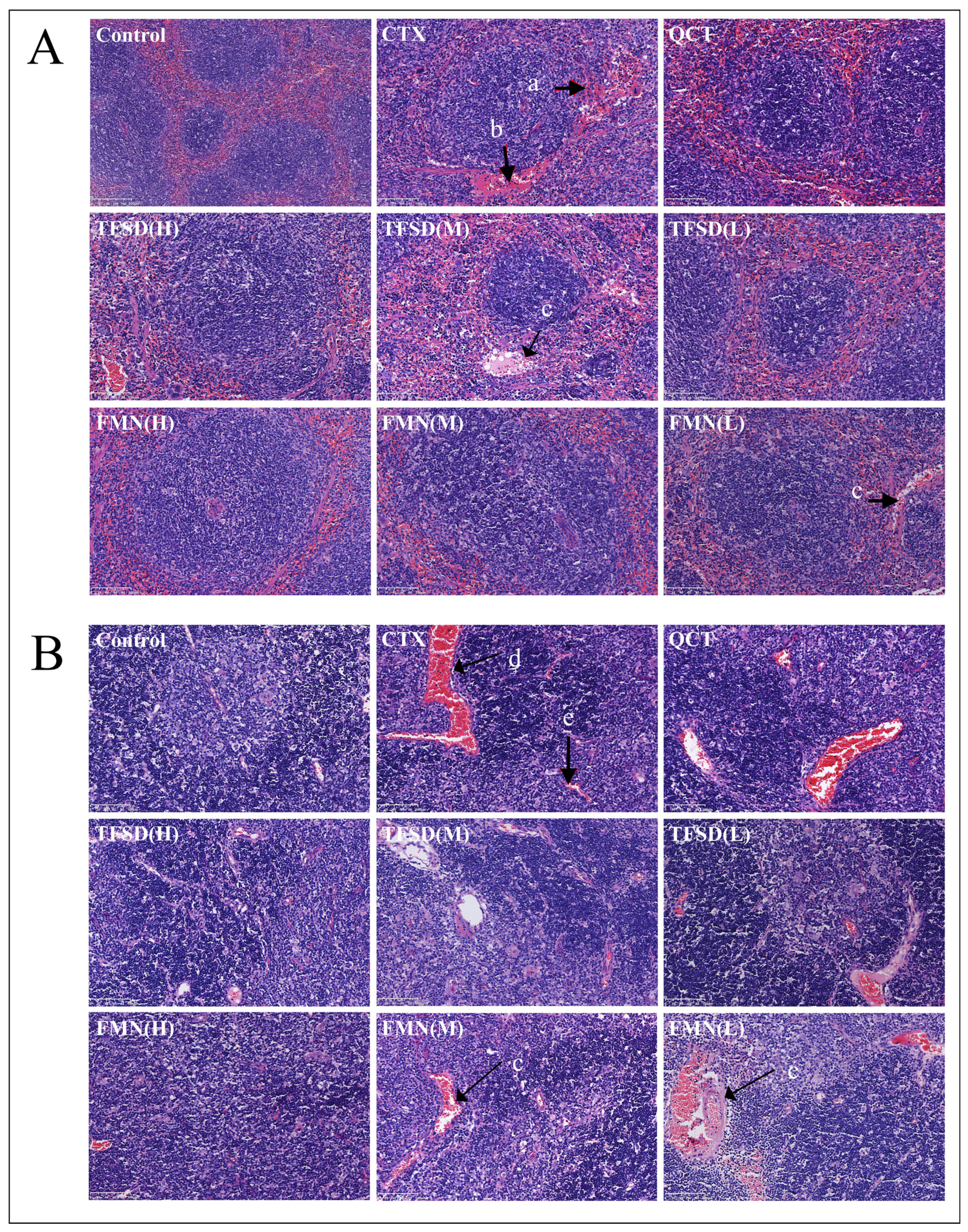 Vetsci 12 00762 g005 Vetsci 12 00762 g005