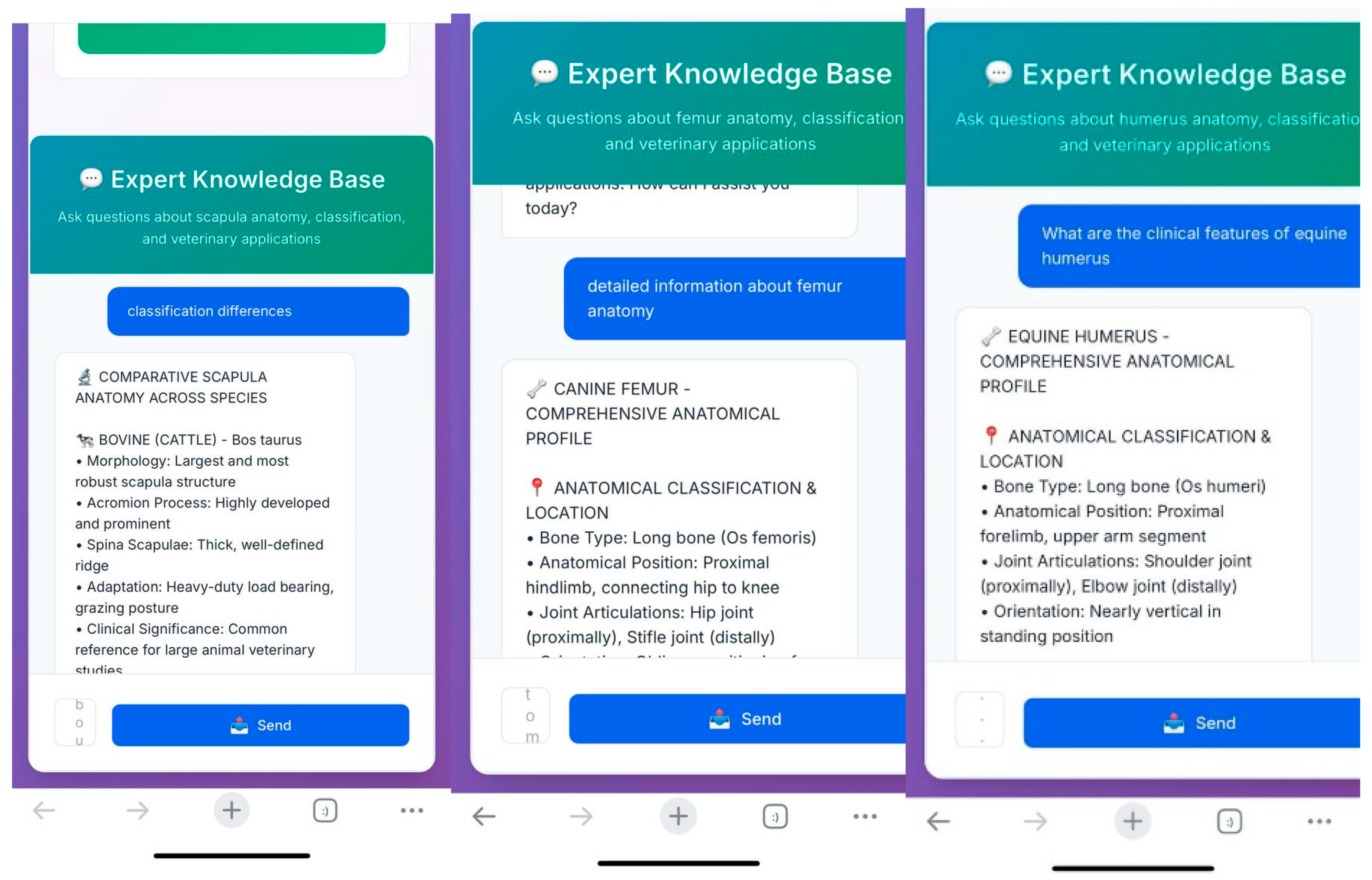 Vetsci 12 00765 g009