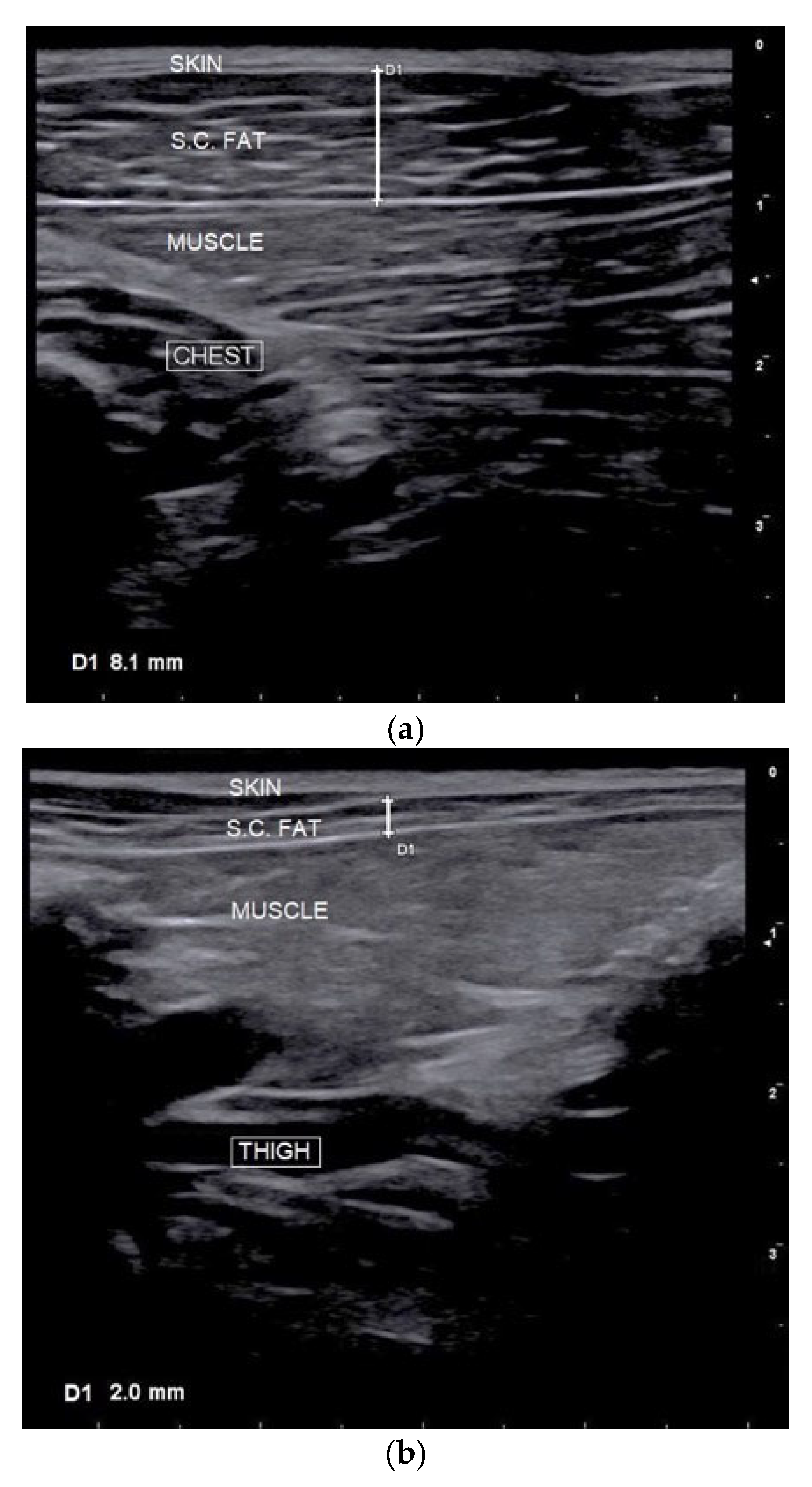 Vetsci 12 00766 g004a Vetsci 12 00766 g004a