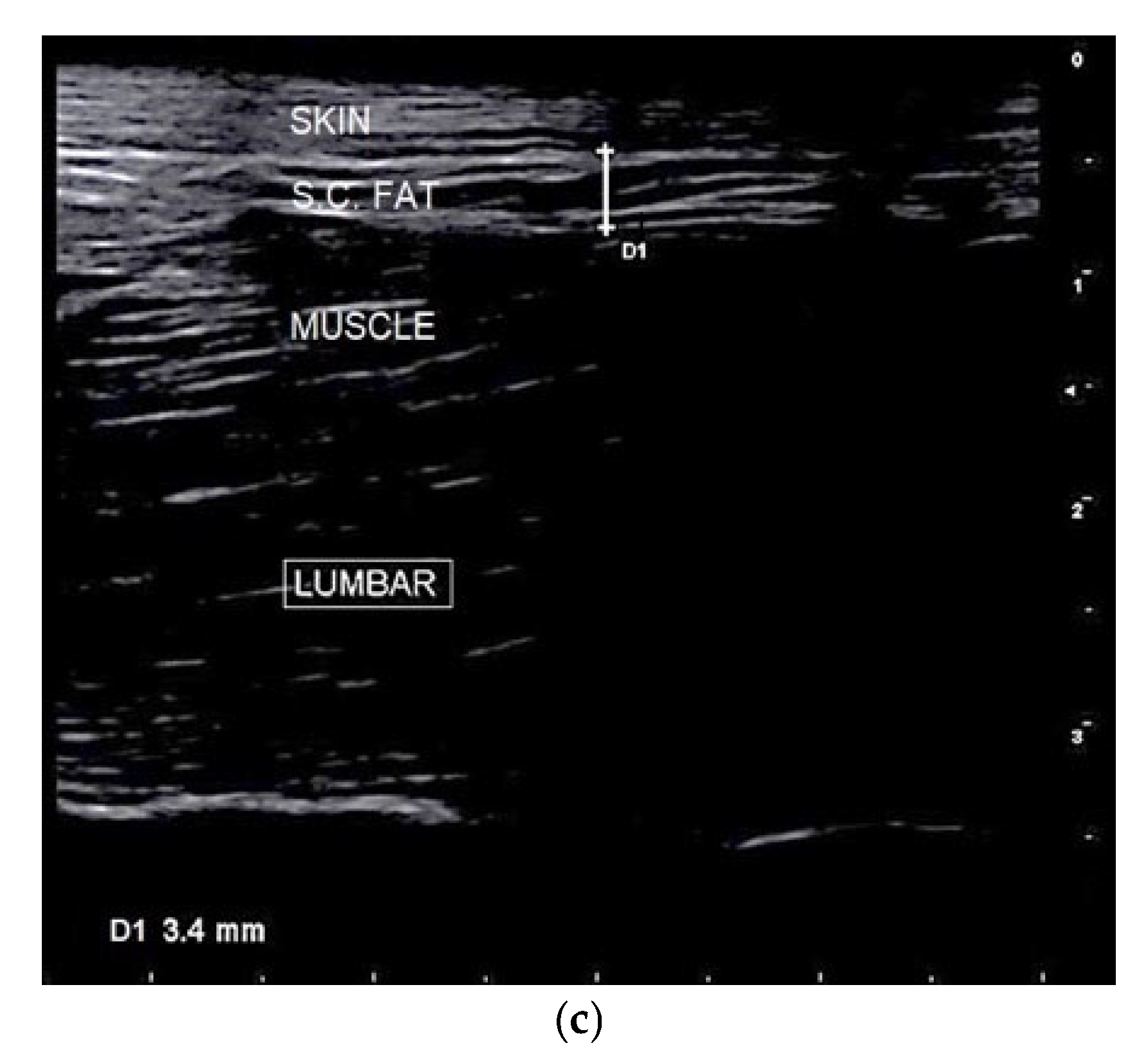 Vetsci 12 00766 g004b Vetsci 12 00766 g004b