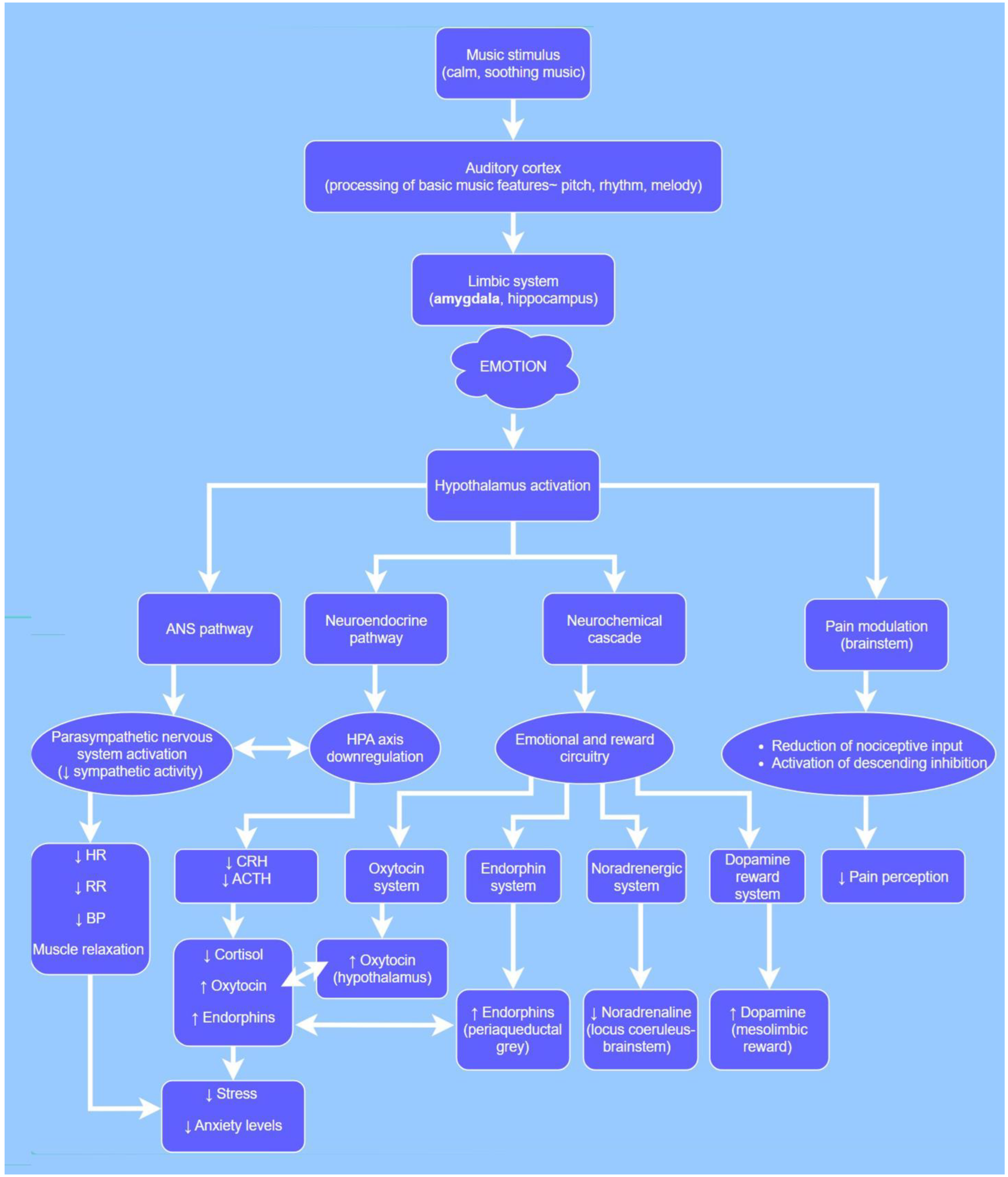 Vetsci 12 00770 g001