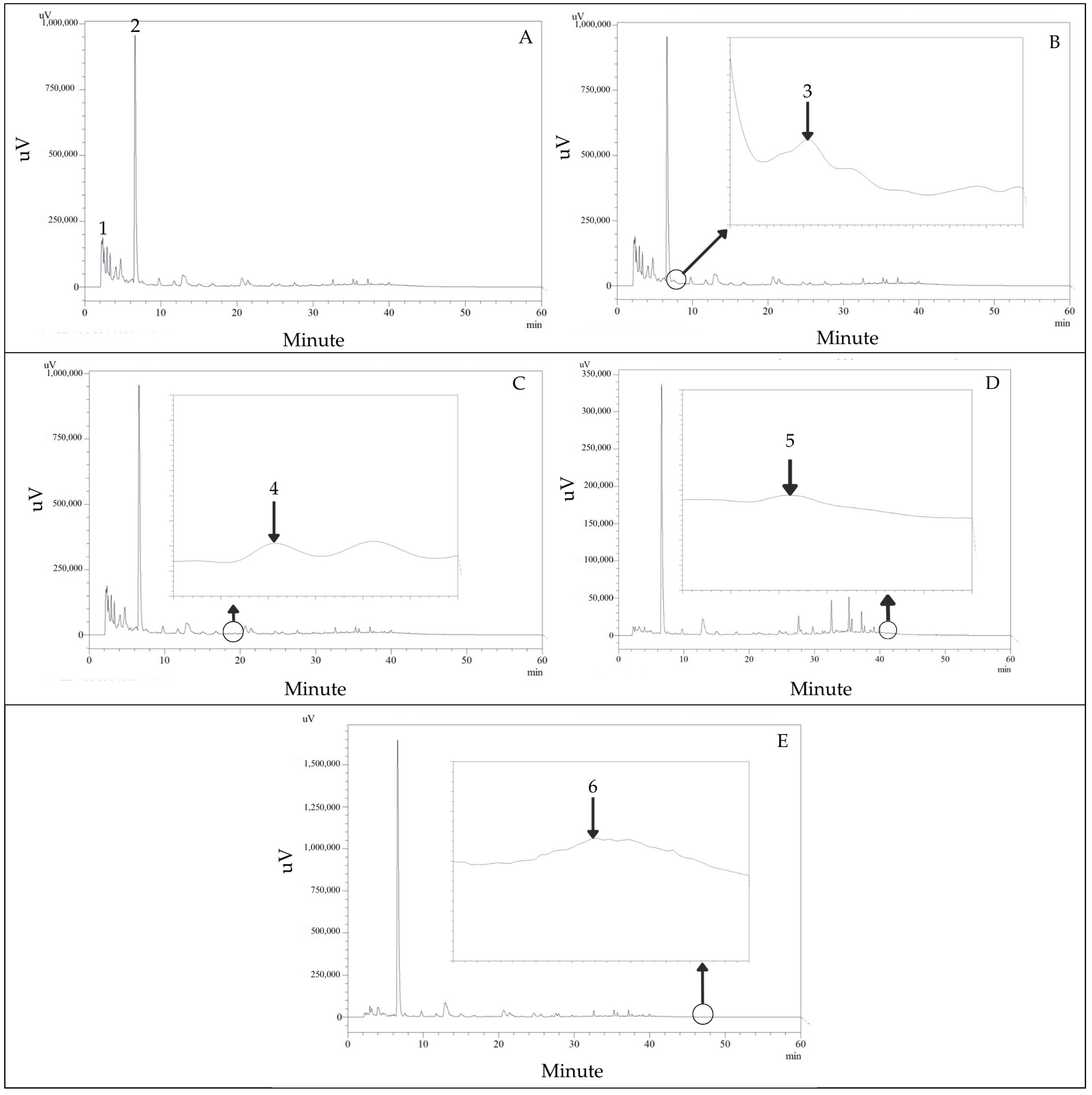 Vetsci 12 00775 g002