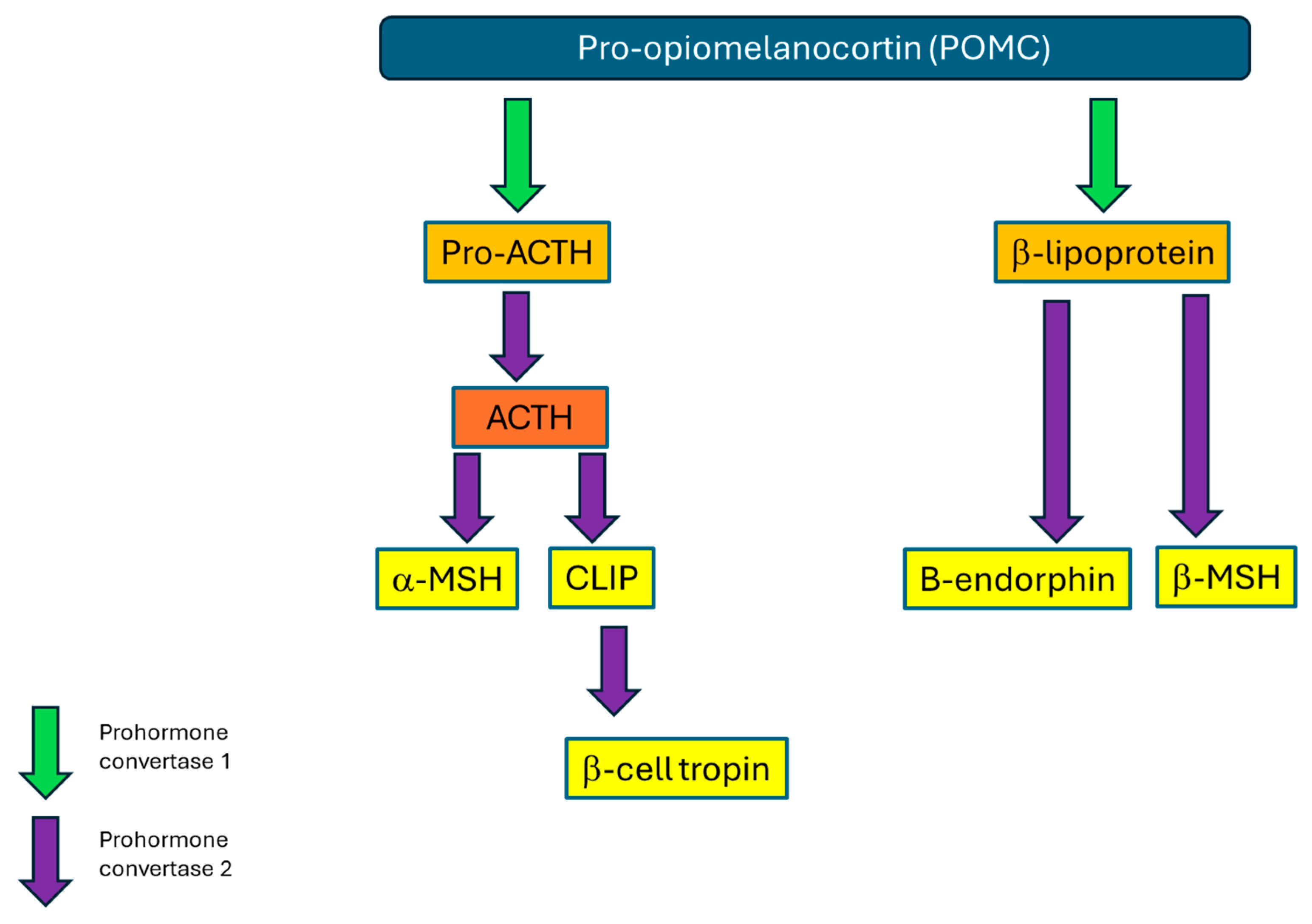 Vetsci 12 00780 g001