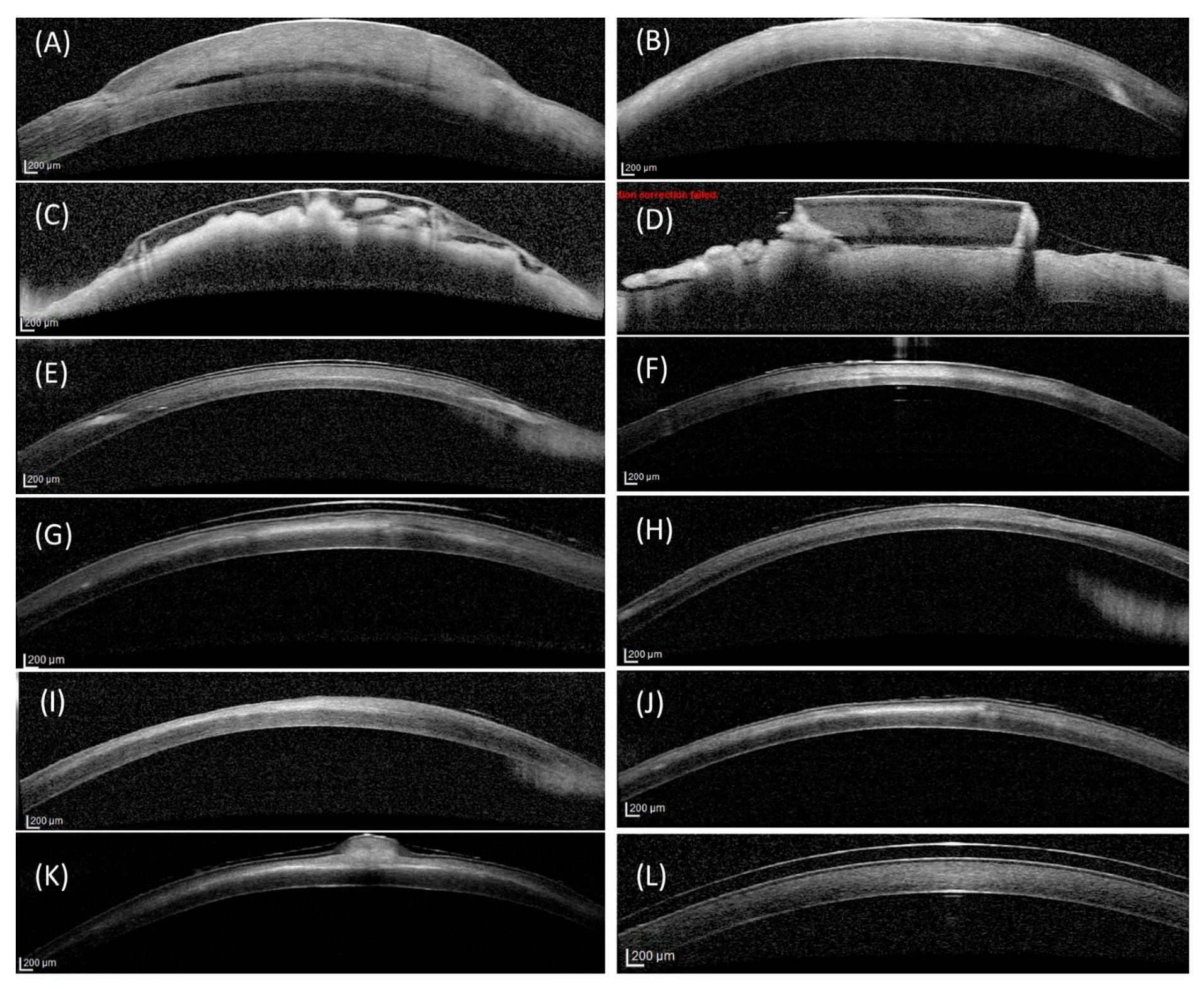 Vetsci 12 00785 g004 Vetsci 12 00785 g004