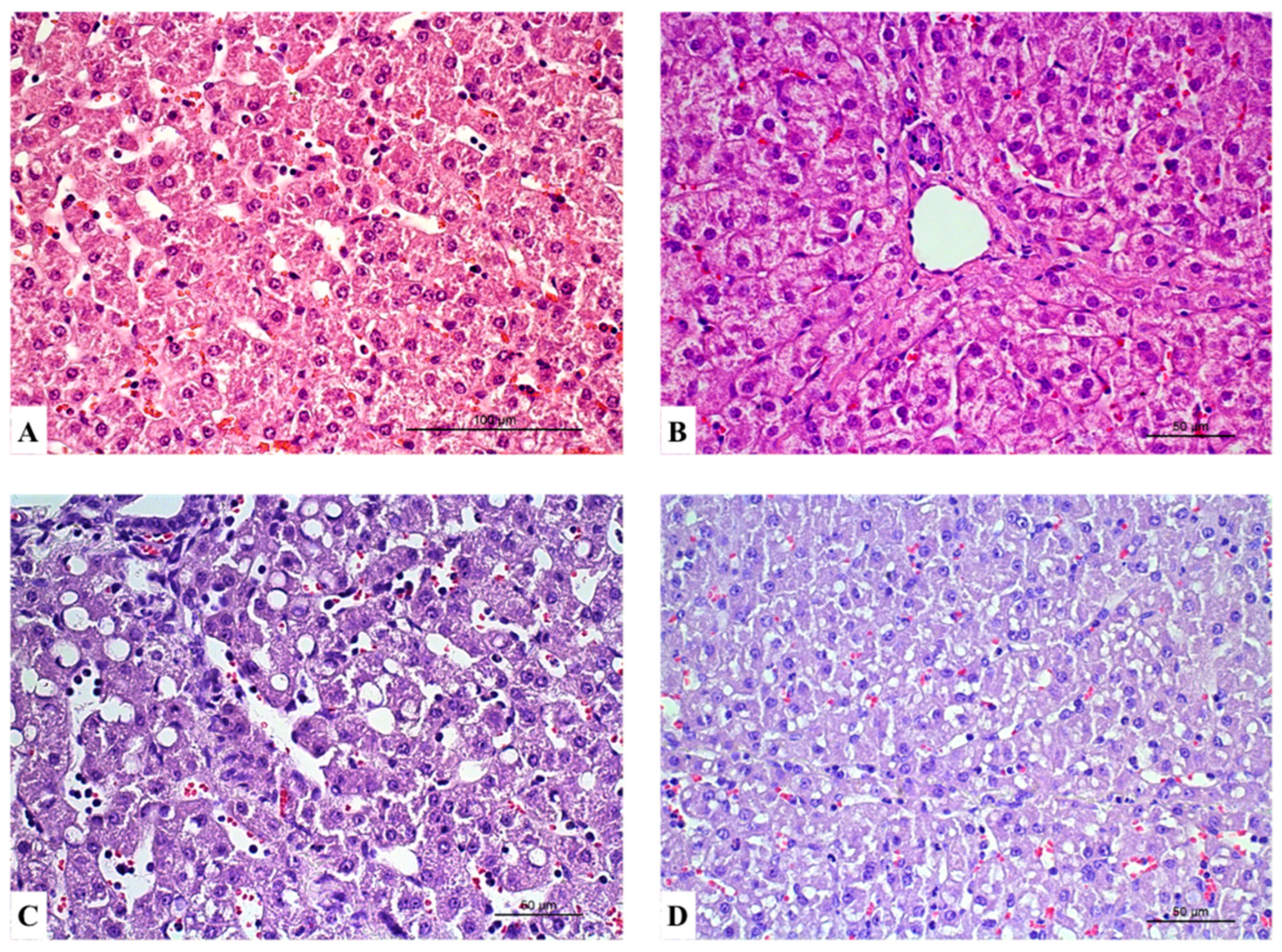 Vetsci 12 00787 g002