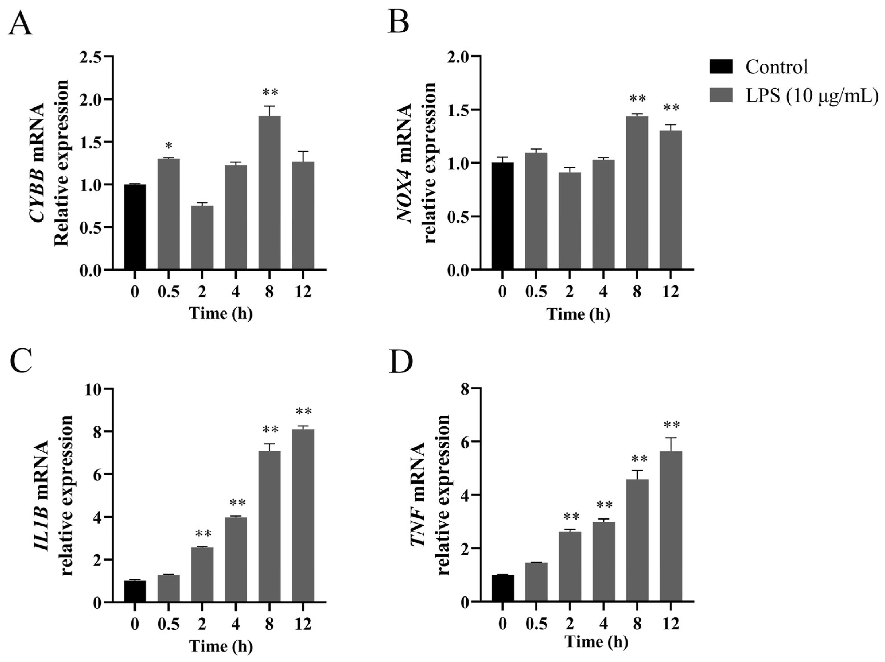Vetsci 12 00789 g001