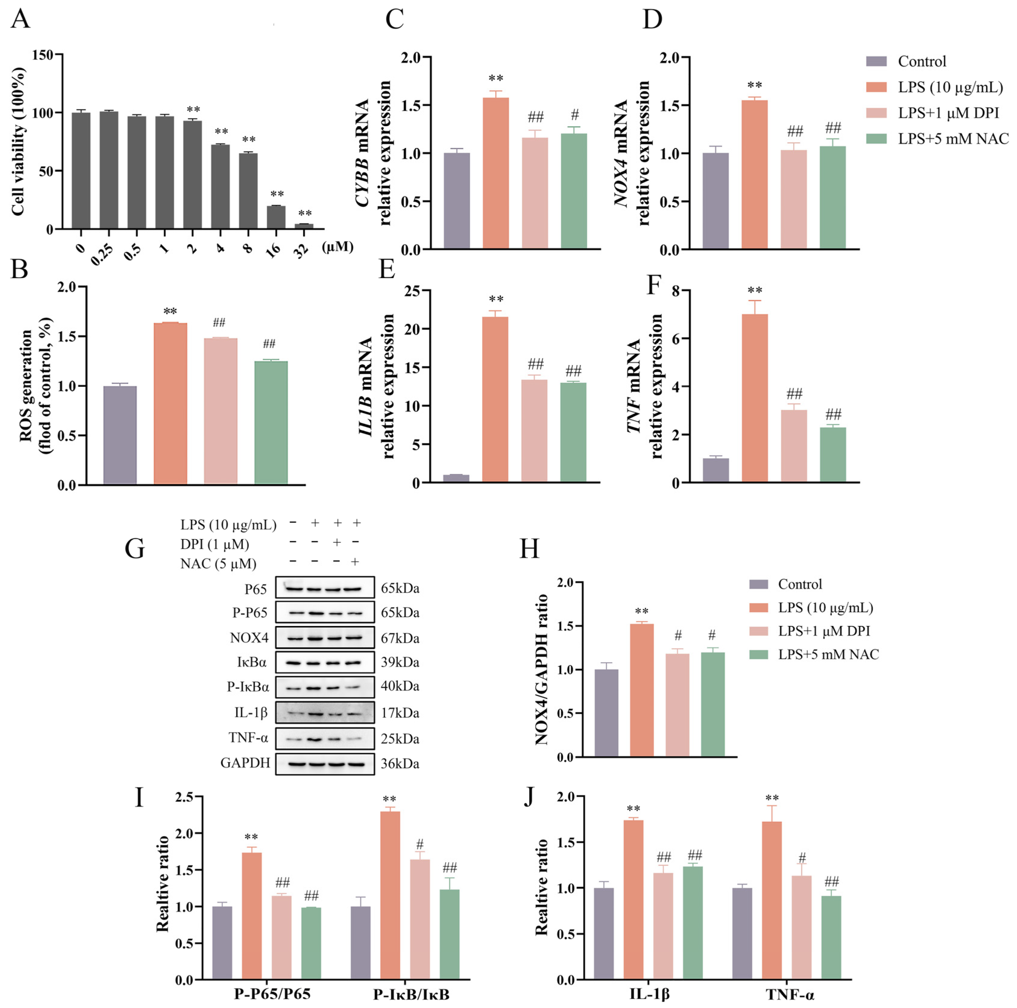 Vetsci 12 00789 g002