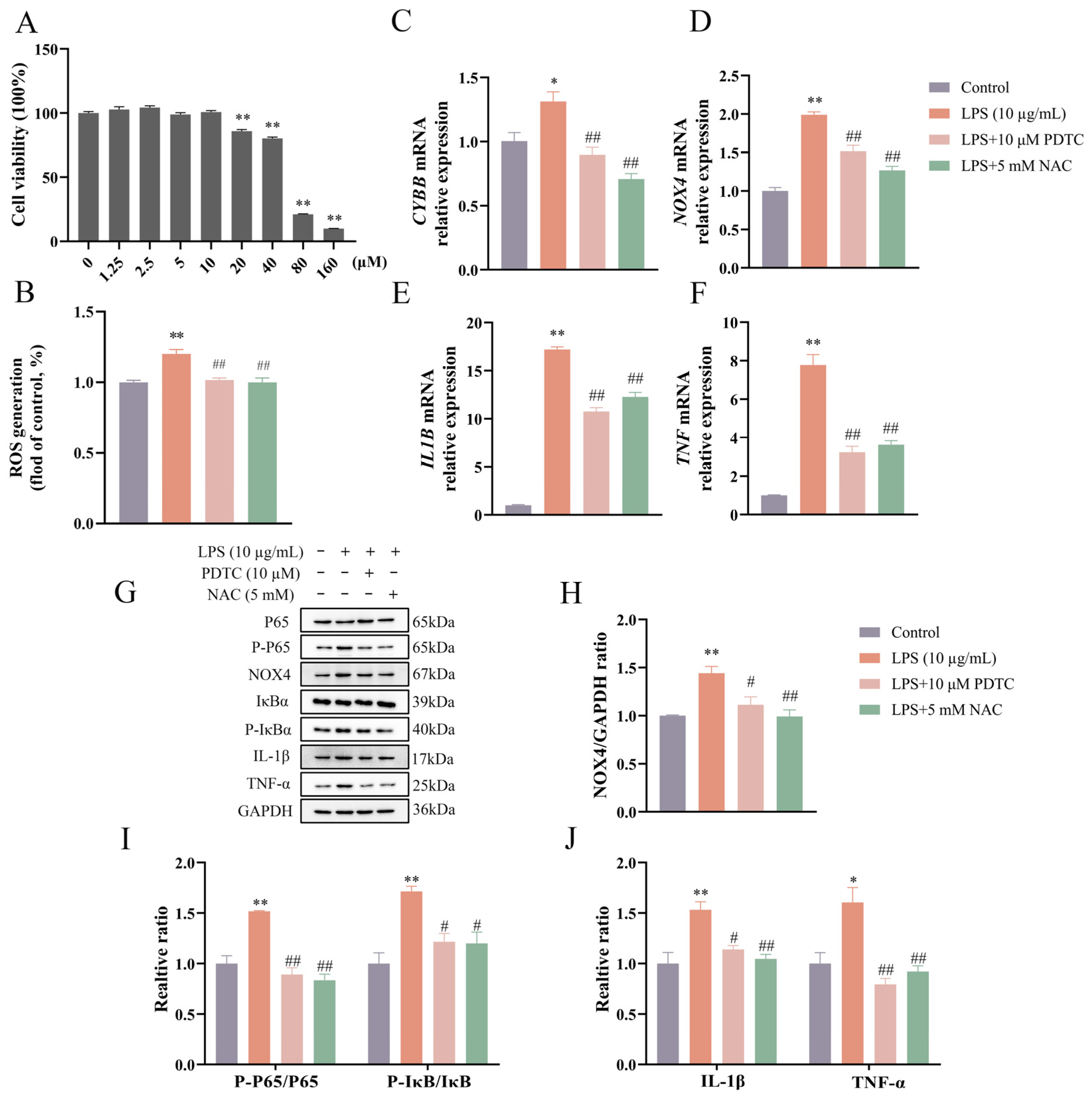 Vetsci 12 00789 g003