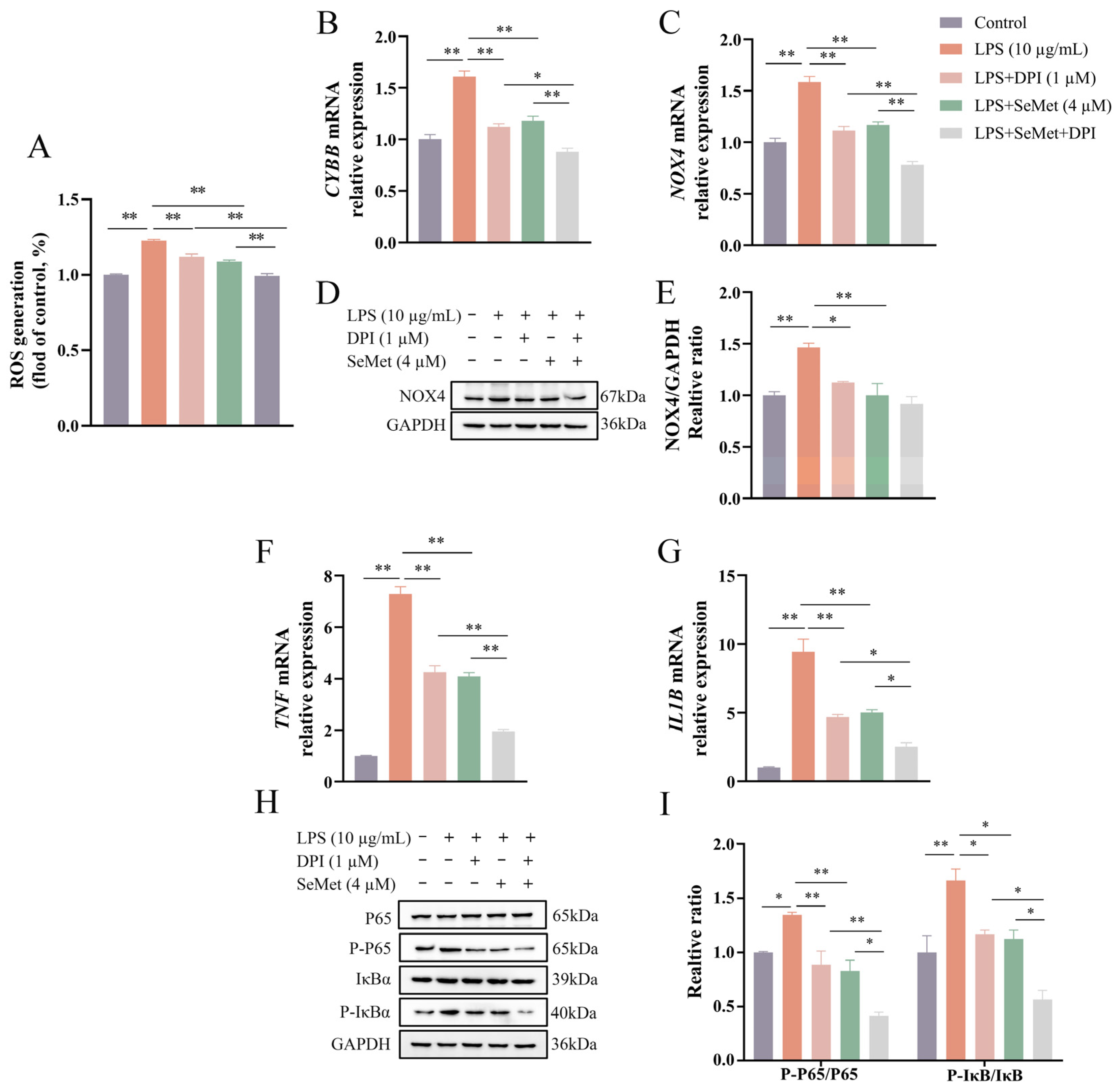 Vetsci 12 00789 g004