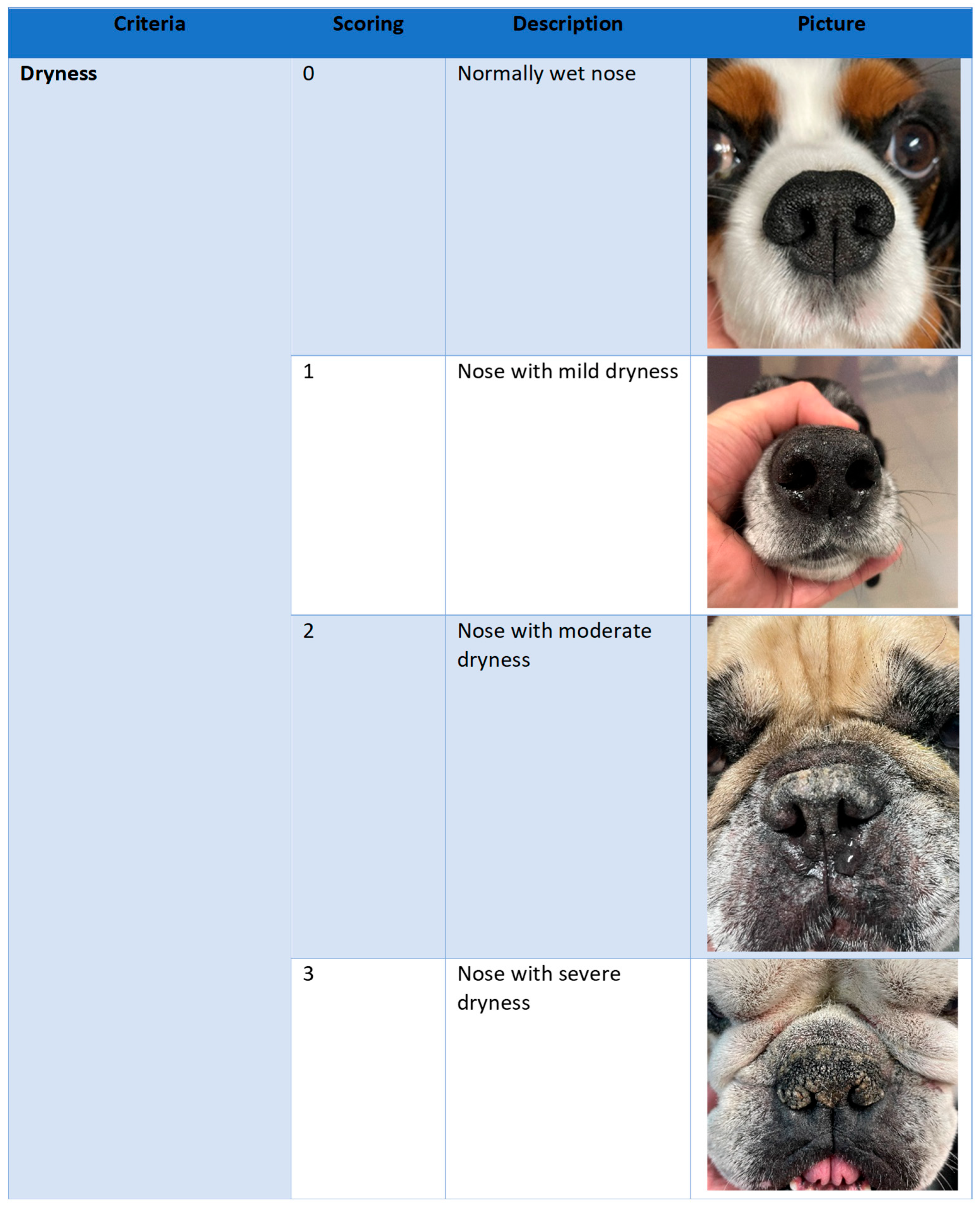 Vetsci 12 00792 g001a