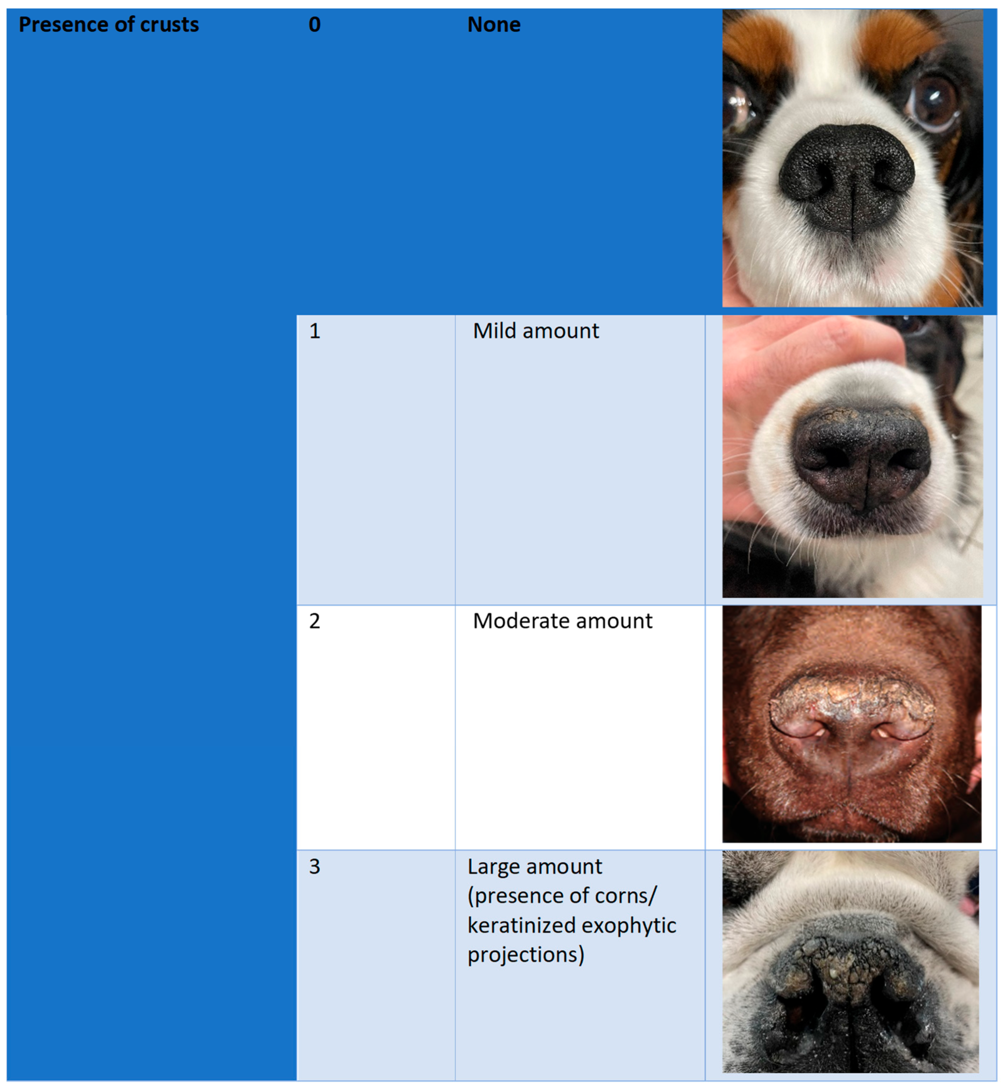 Vetsci 12 00792 g001c