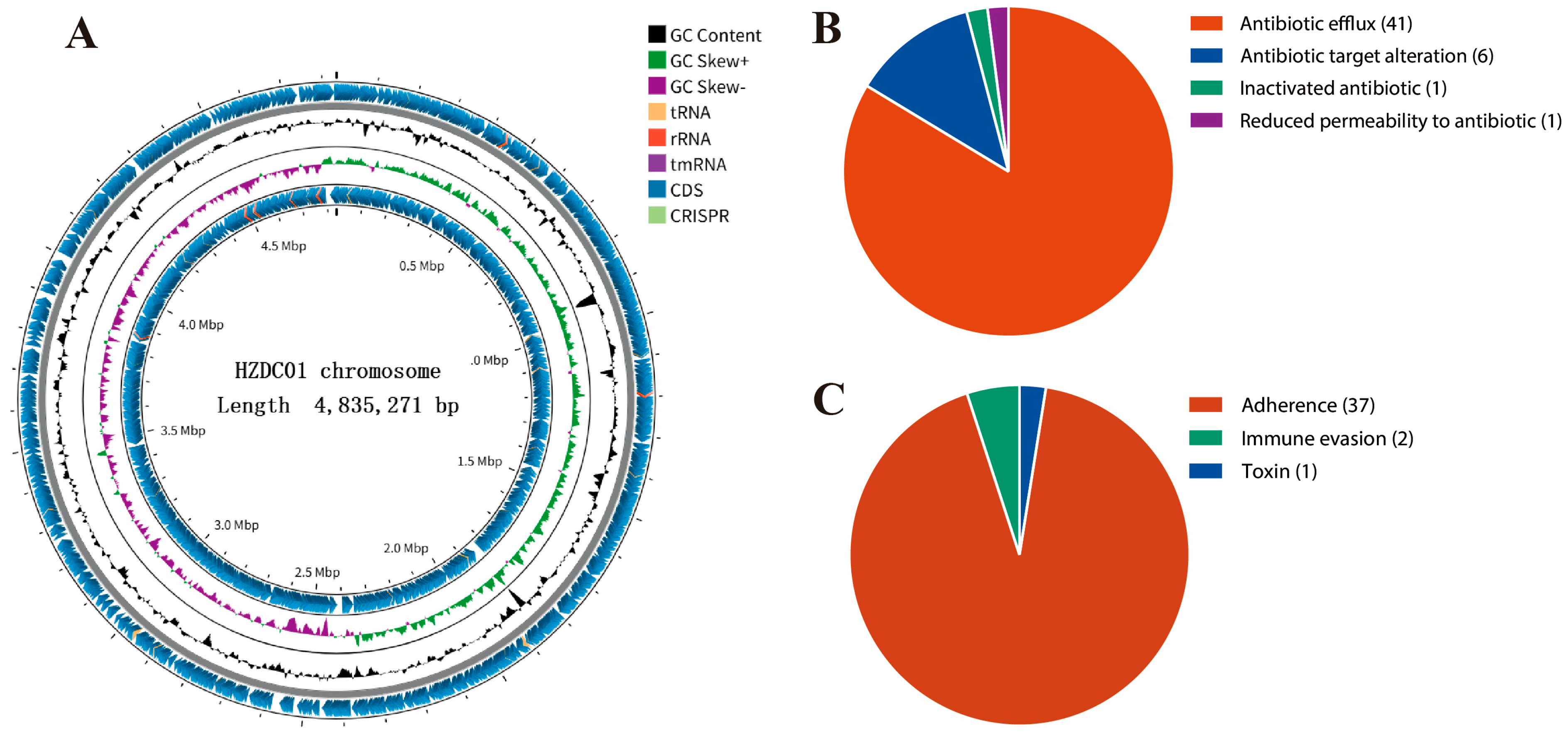 Vetsci 12 00793 g002 Vetsci 12 00793 g002