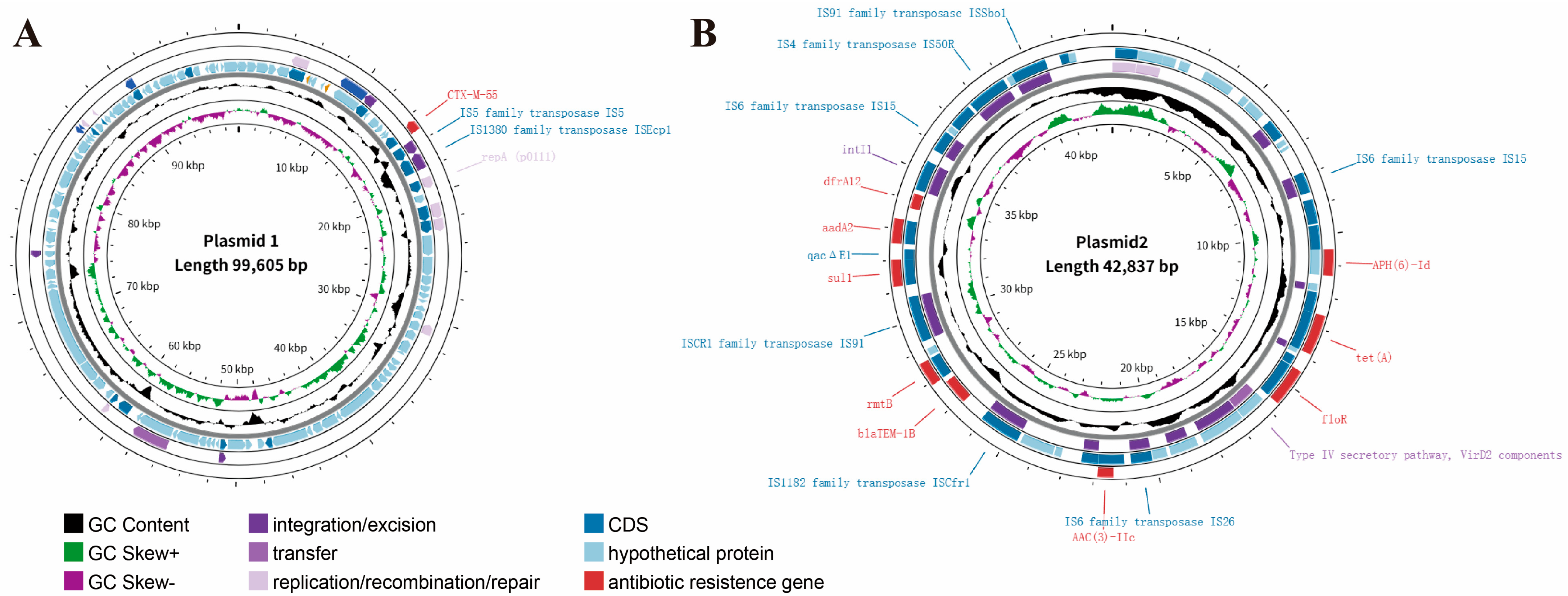Vetsci 12 00793 g003 Vetsci 12 00793 g003