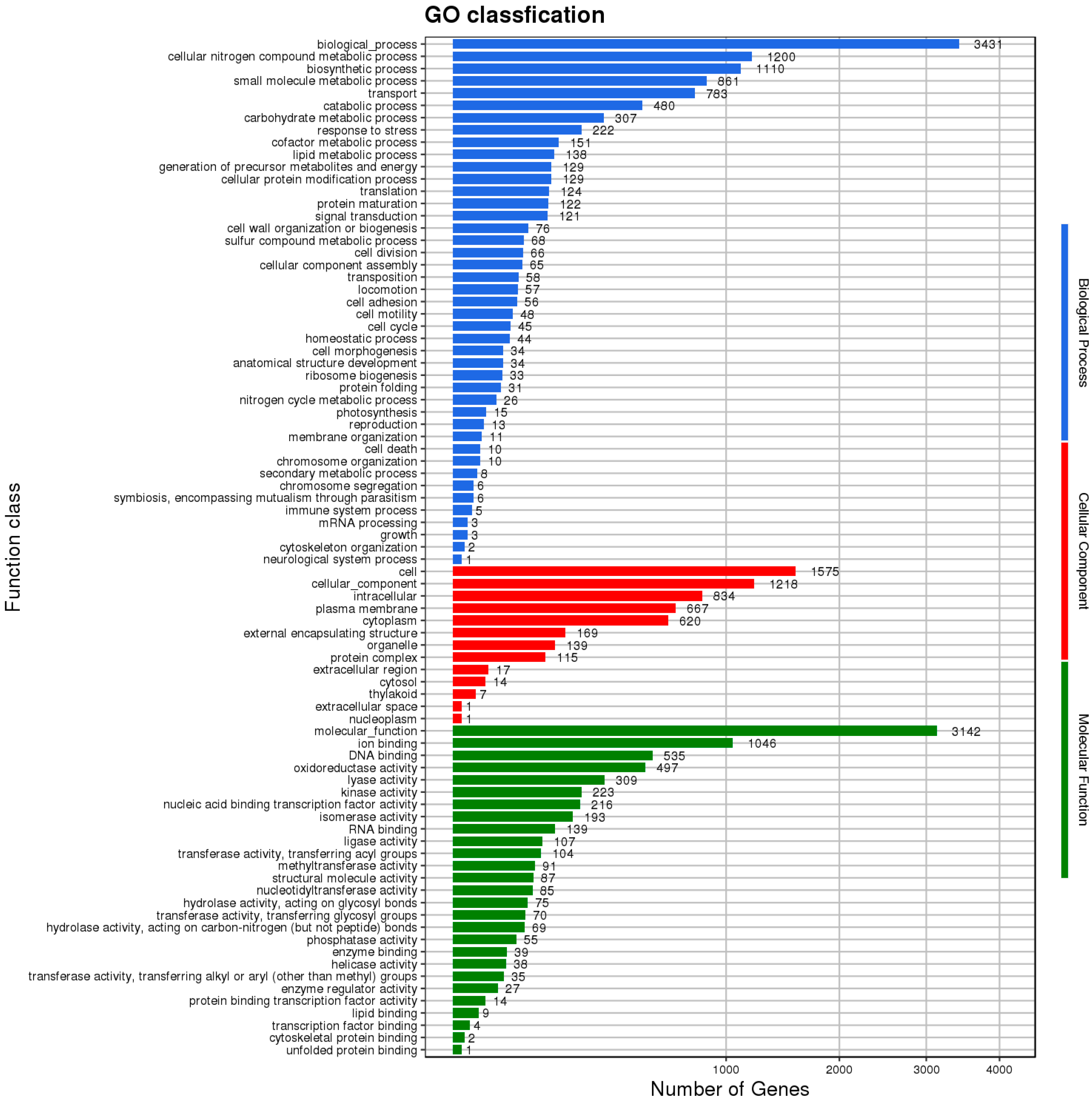 Vetsci 12 00793 g004 Vetsci 12 00793 g004