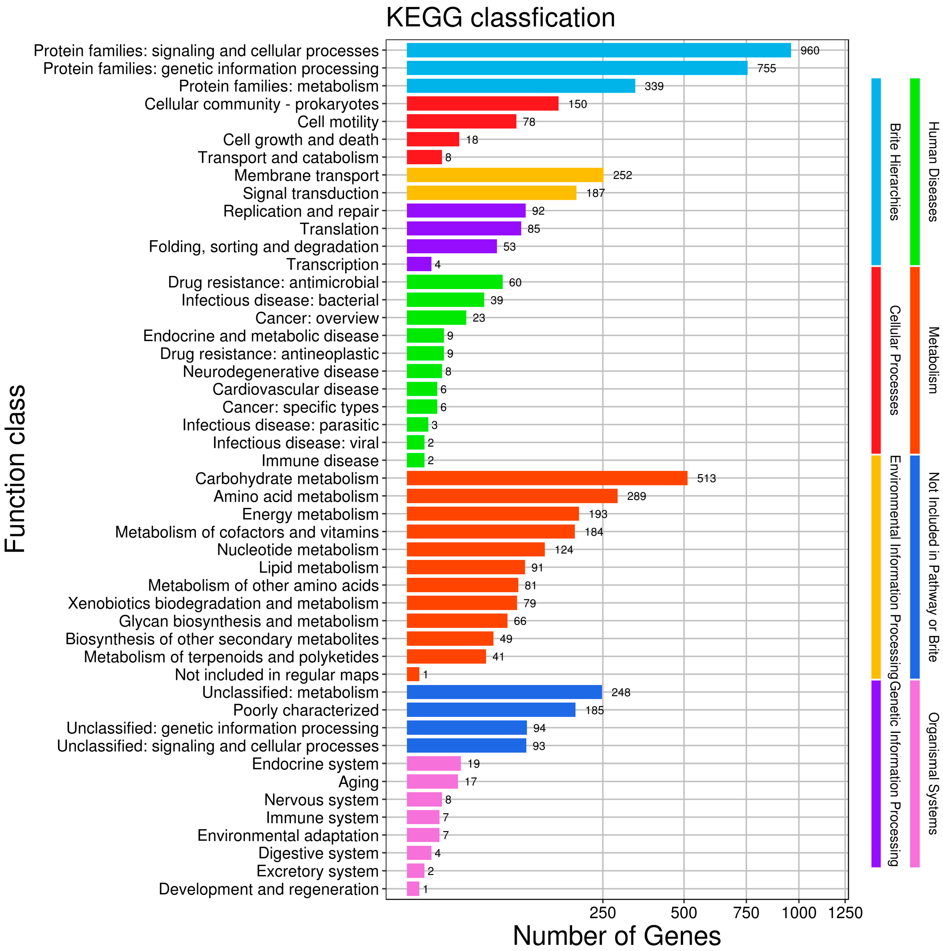 Vetsci 12 00793 g005 Vetsci 12 00793 g005