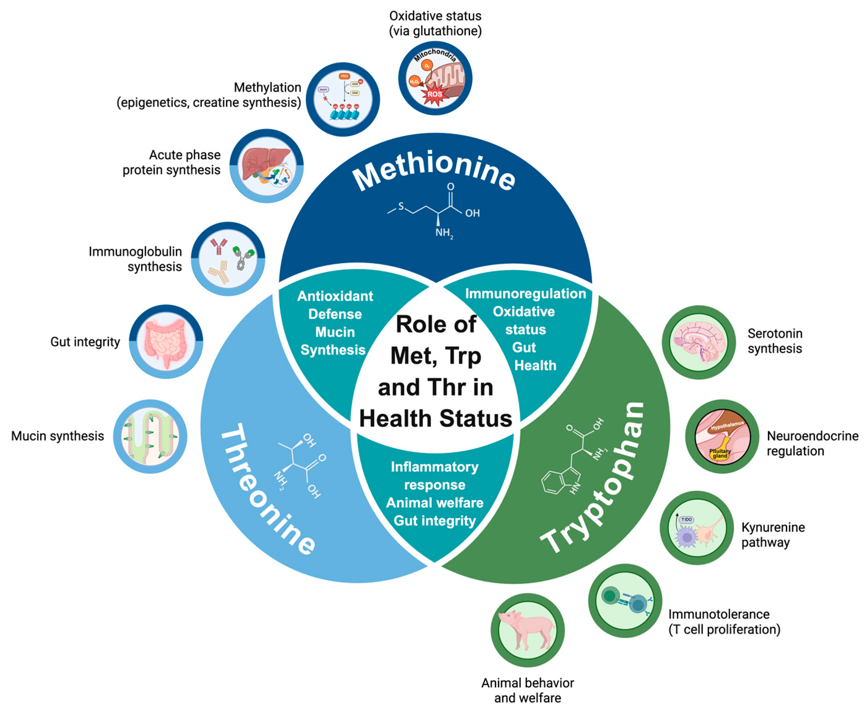 Vetsci 12 00794 g002