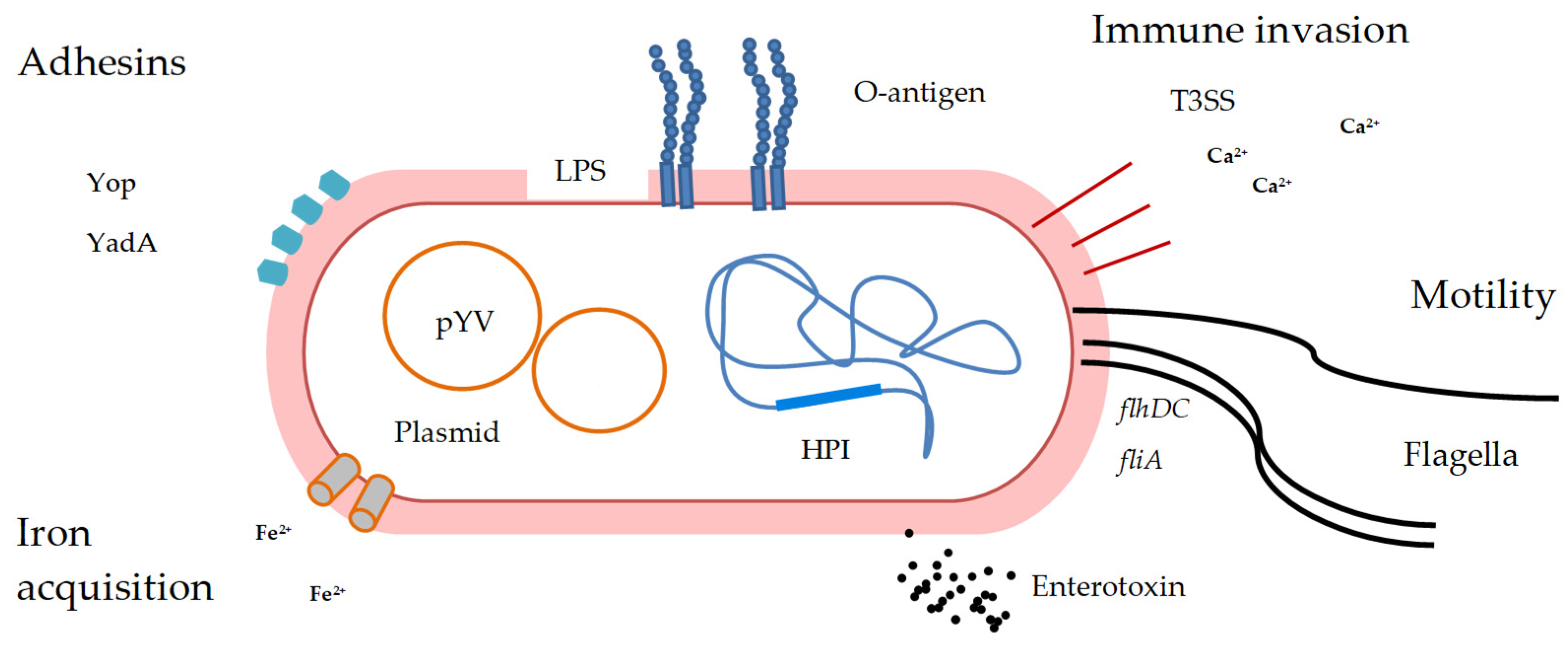 Vetsci 12 00795 g001