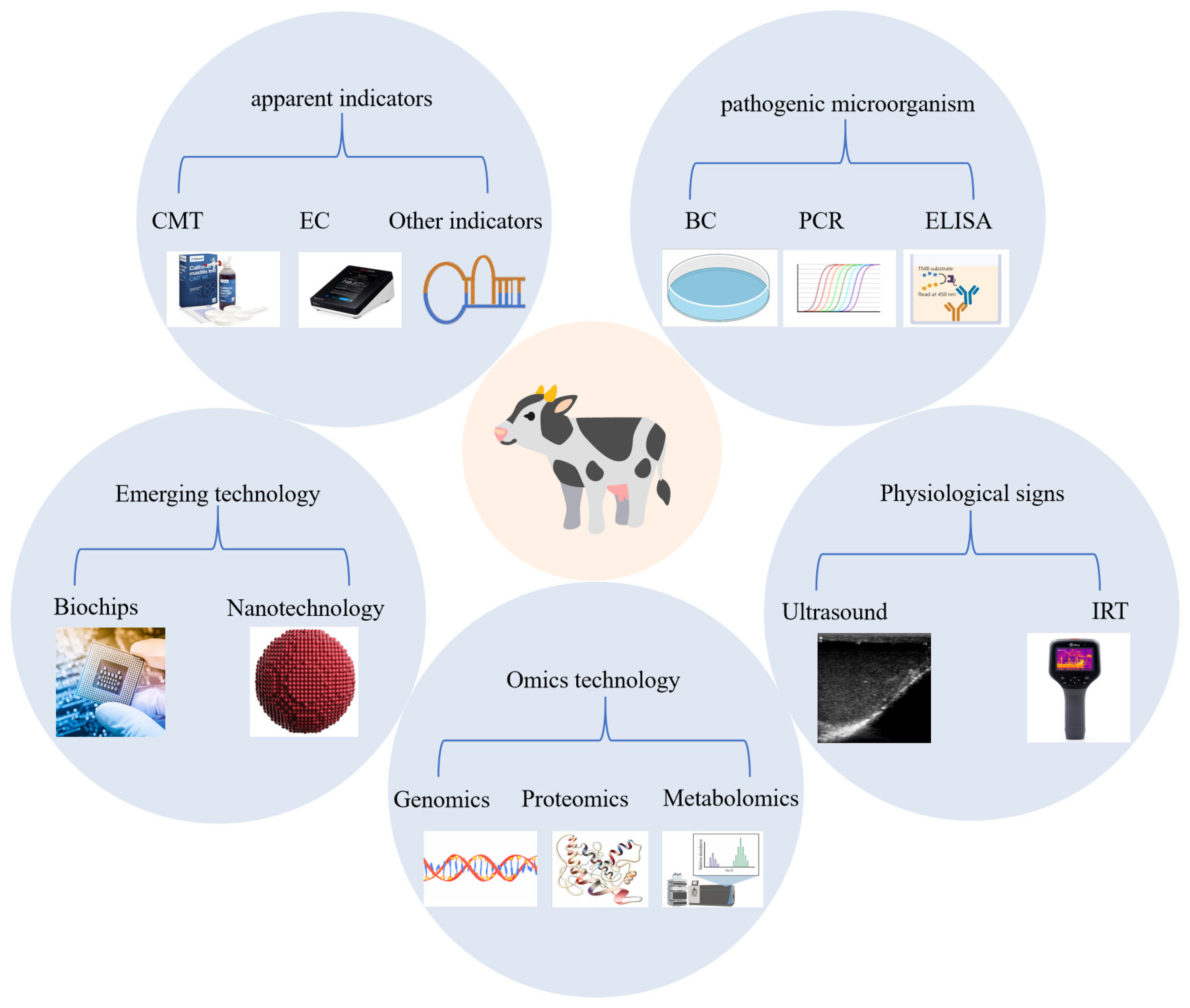 Vetsci 12 00800 g002