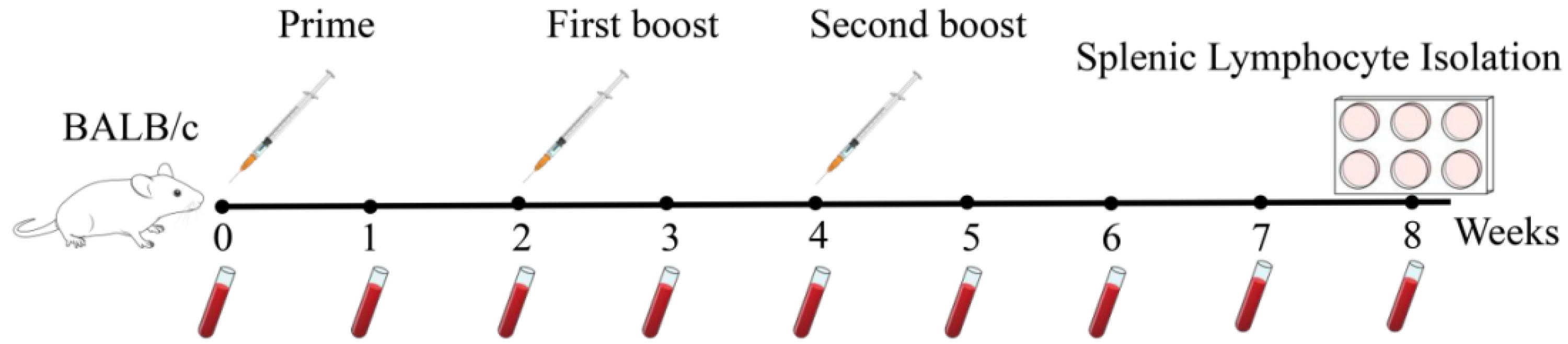 Vetsci 12 00802 g001