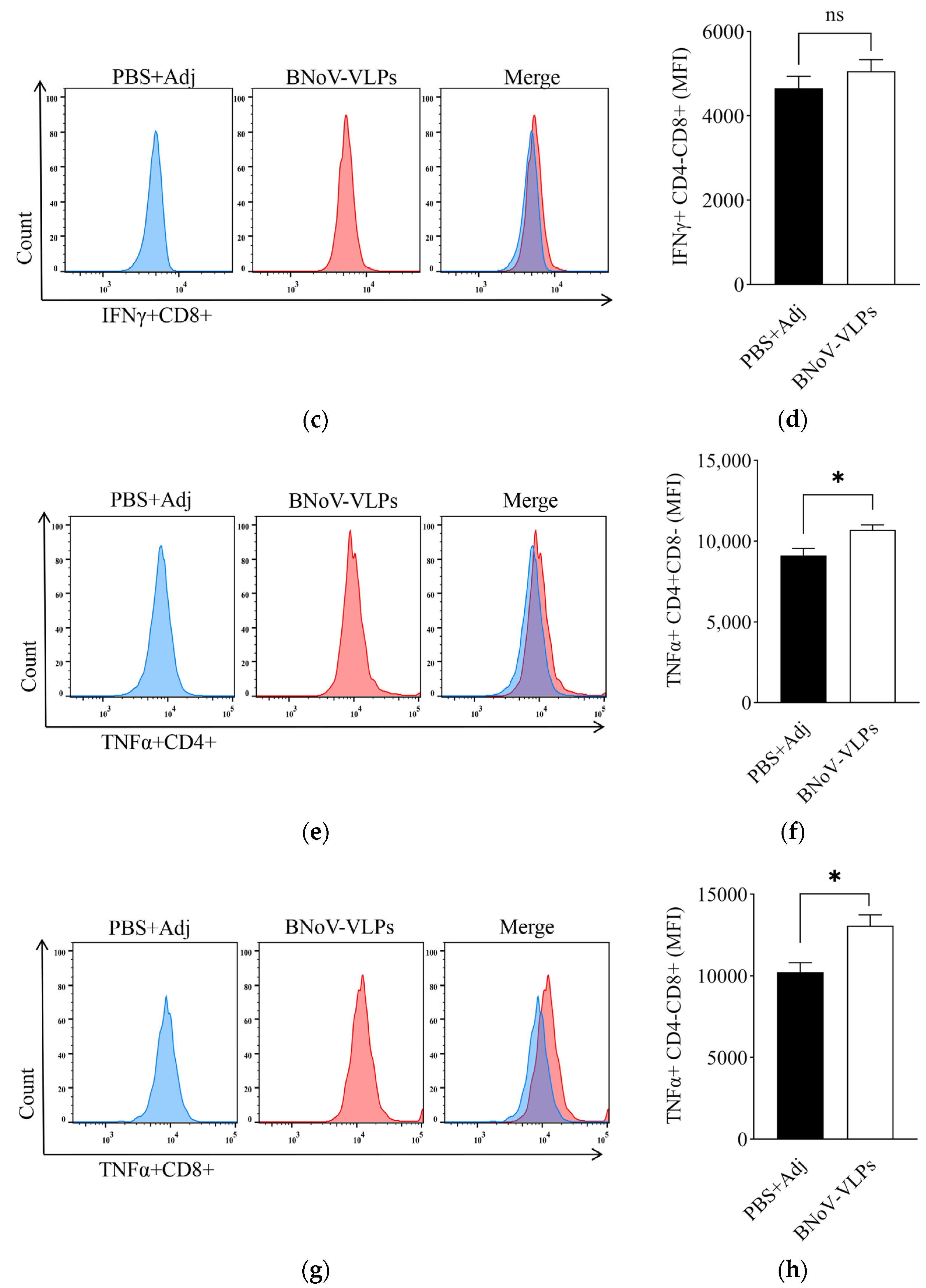 Vetsci 12 00802 g007b