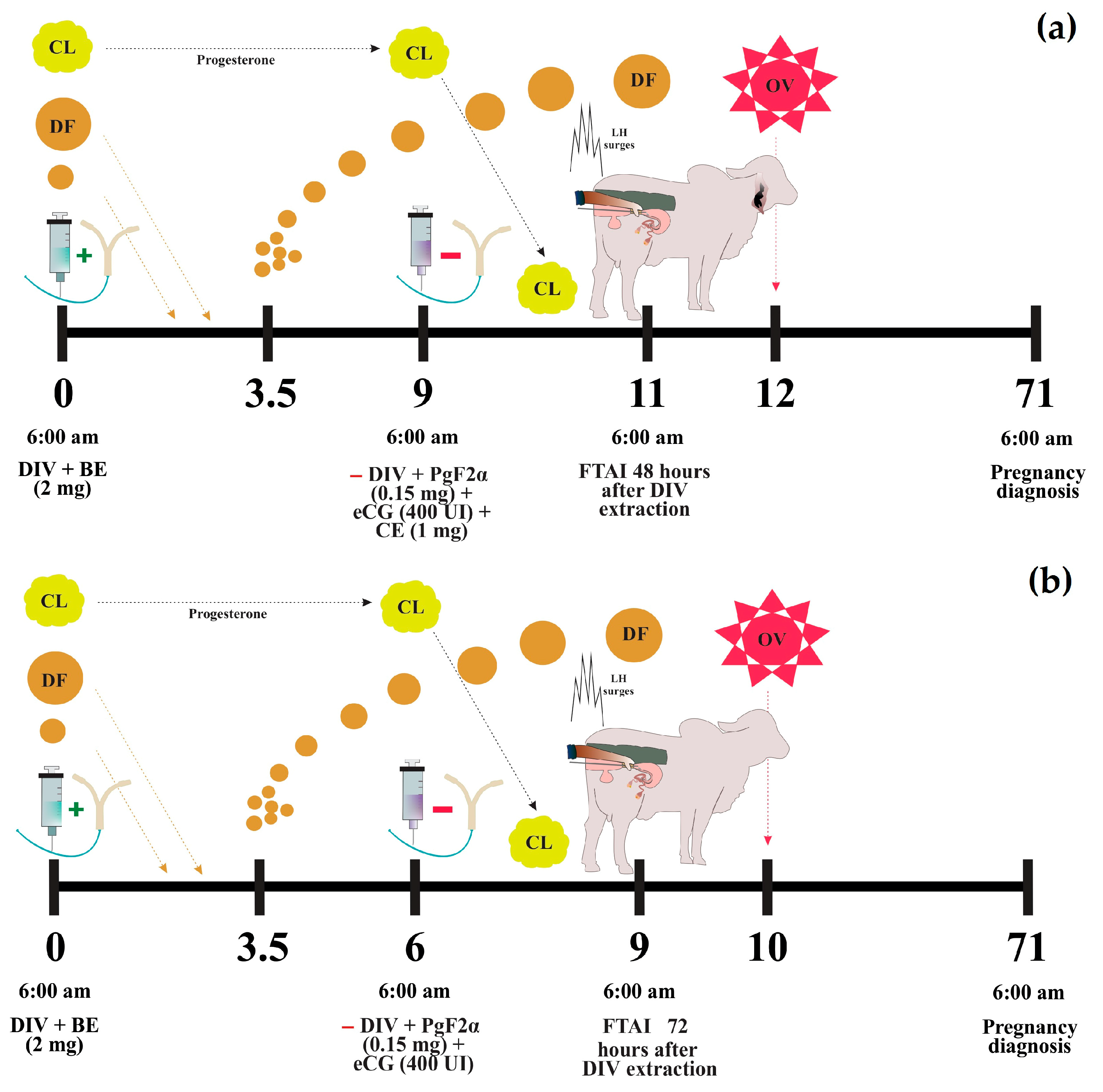 Vetsci 12 00804 g002 Vetsci 12 00804 g002