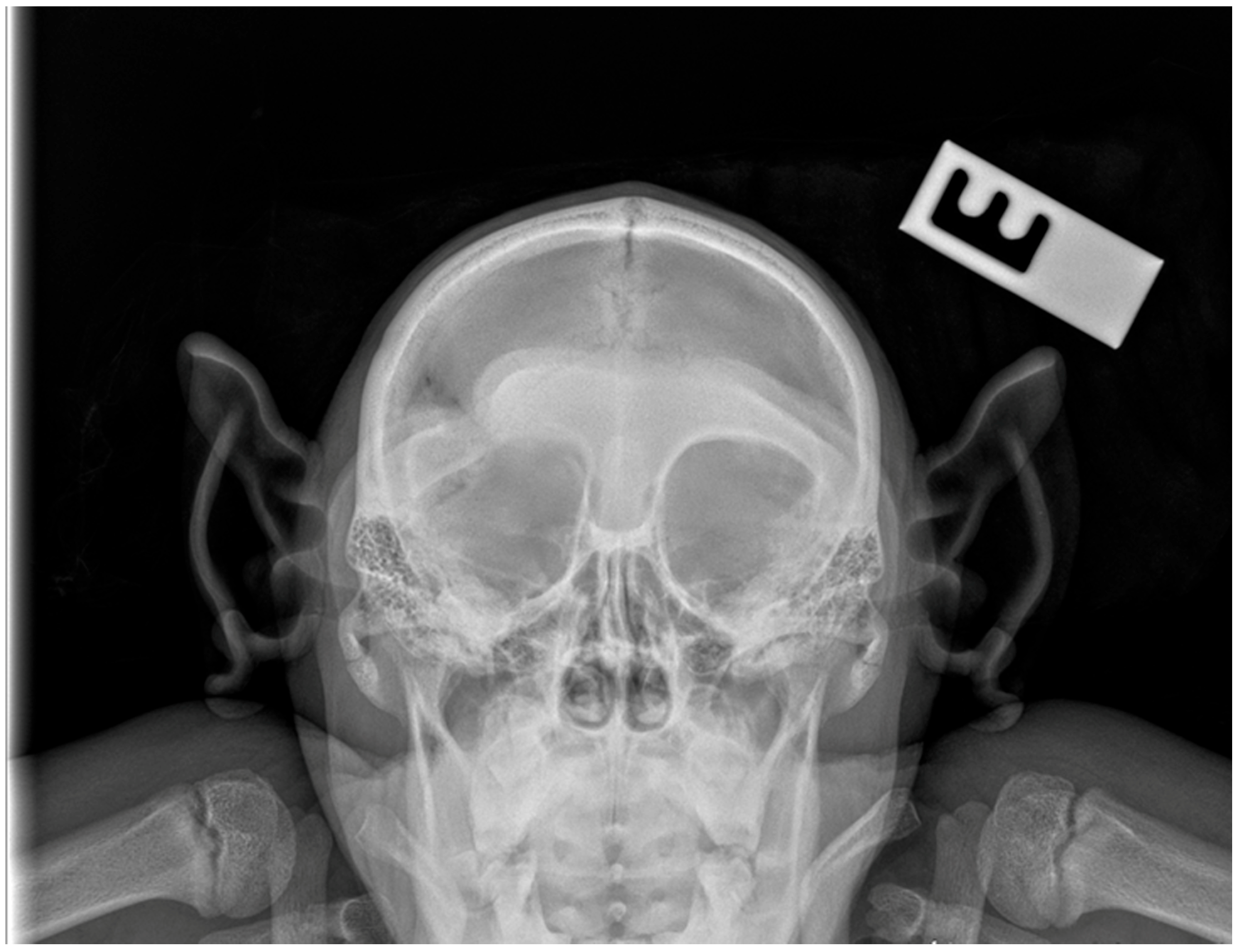 Vetsci 12 00805 g002