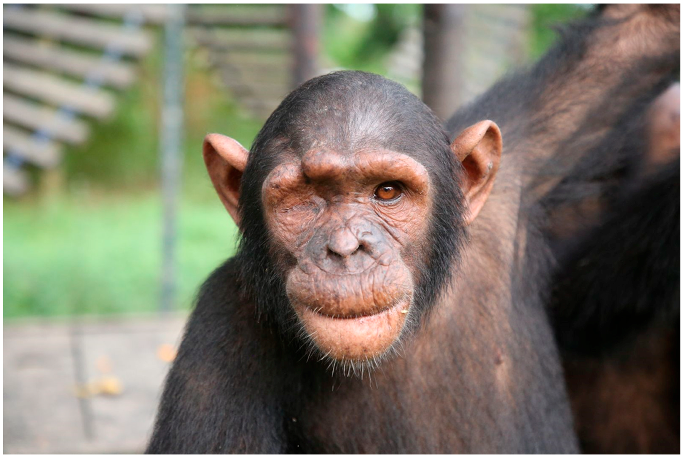 Vetsci 12 00805 g005