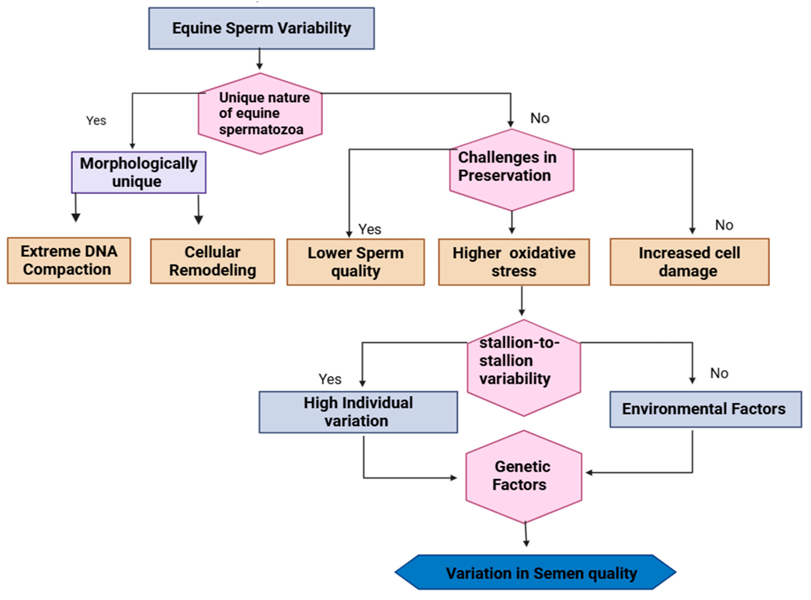 Vetsci 12 00807 g002