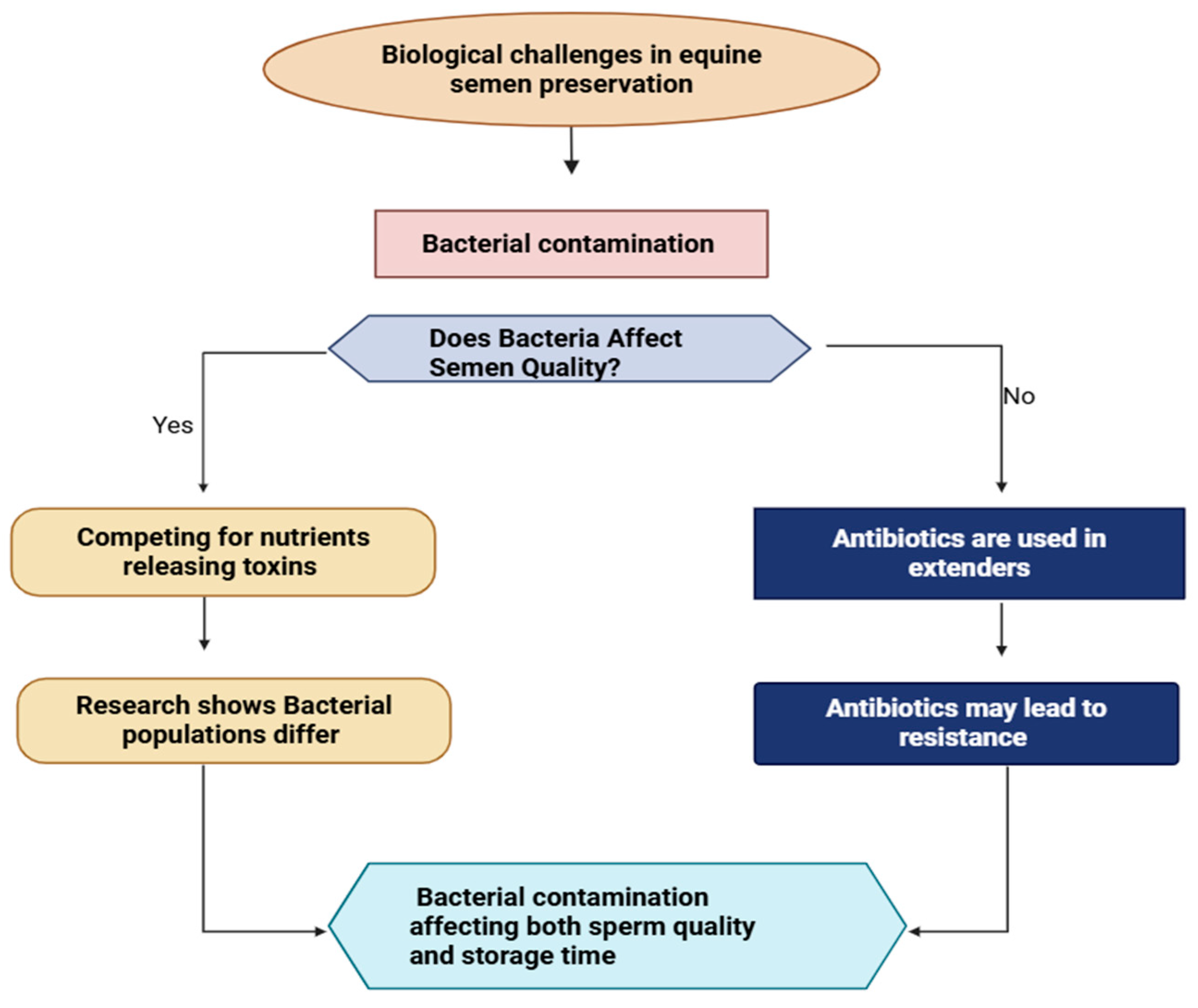 Vetsci 12 00807 g003