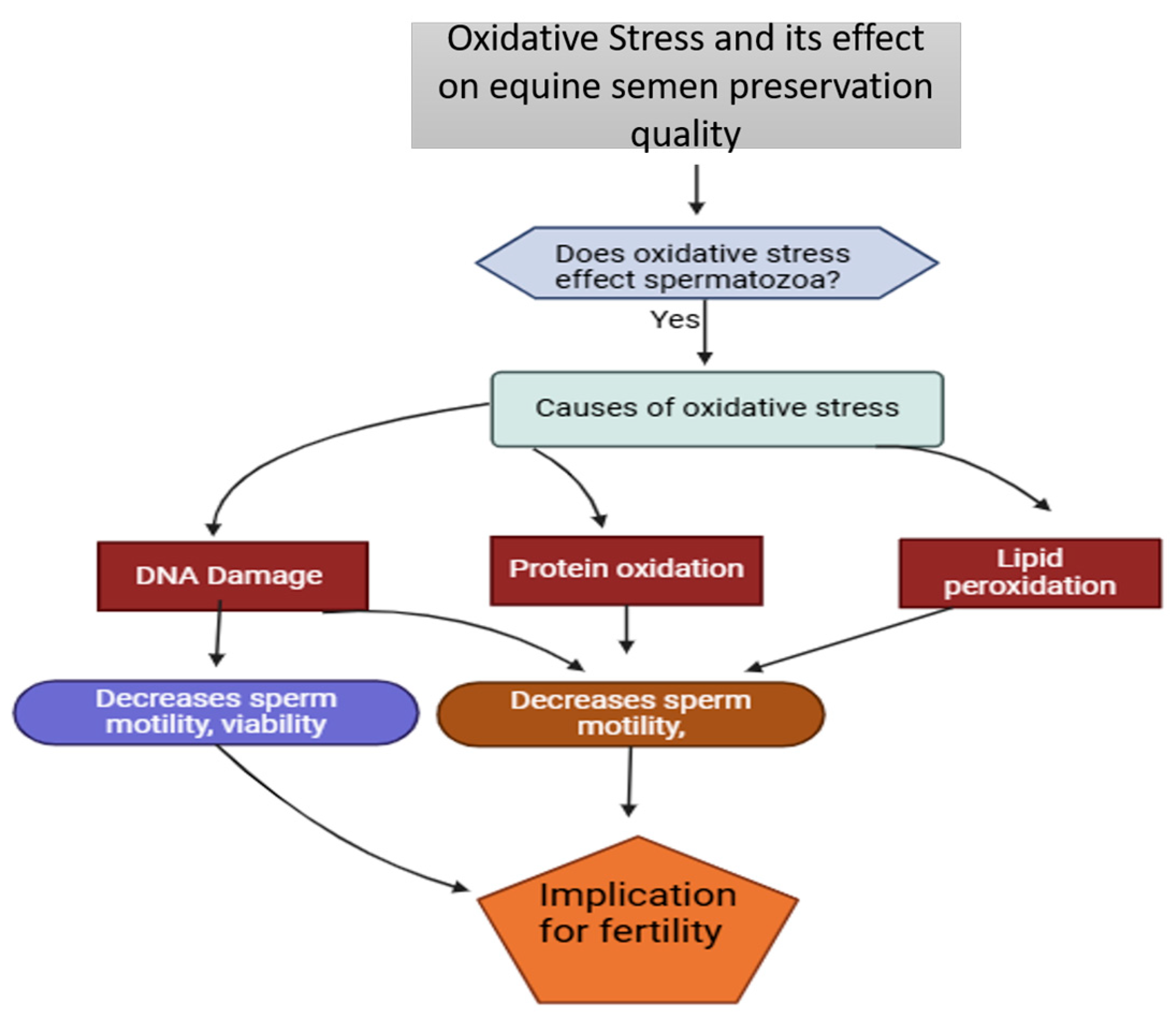 Vetsci 12 00807 g004