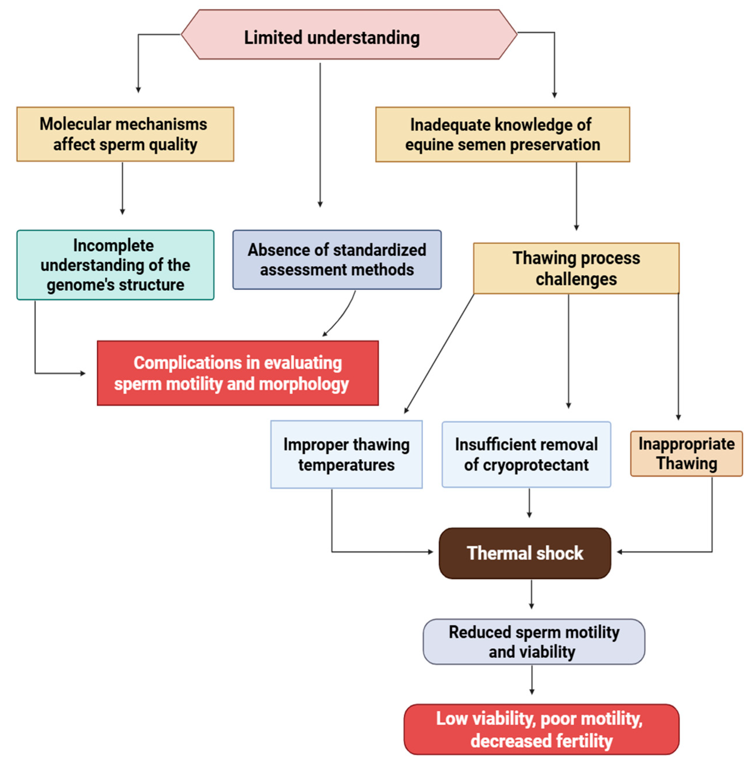 Vetsci 12 00807 g005