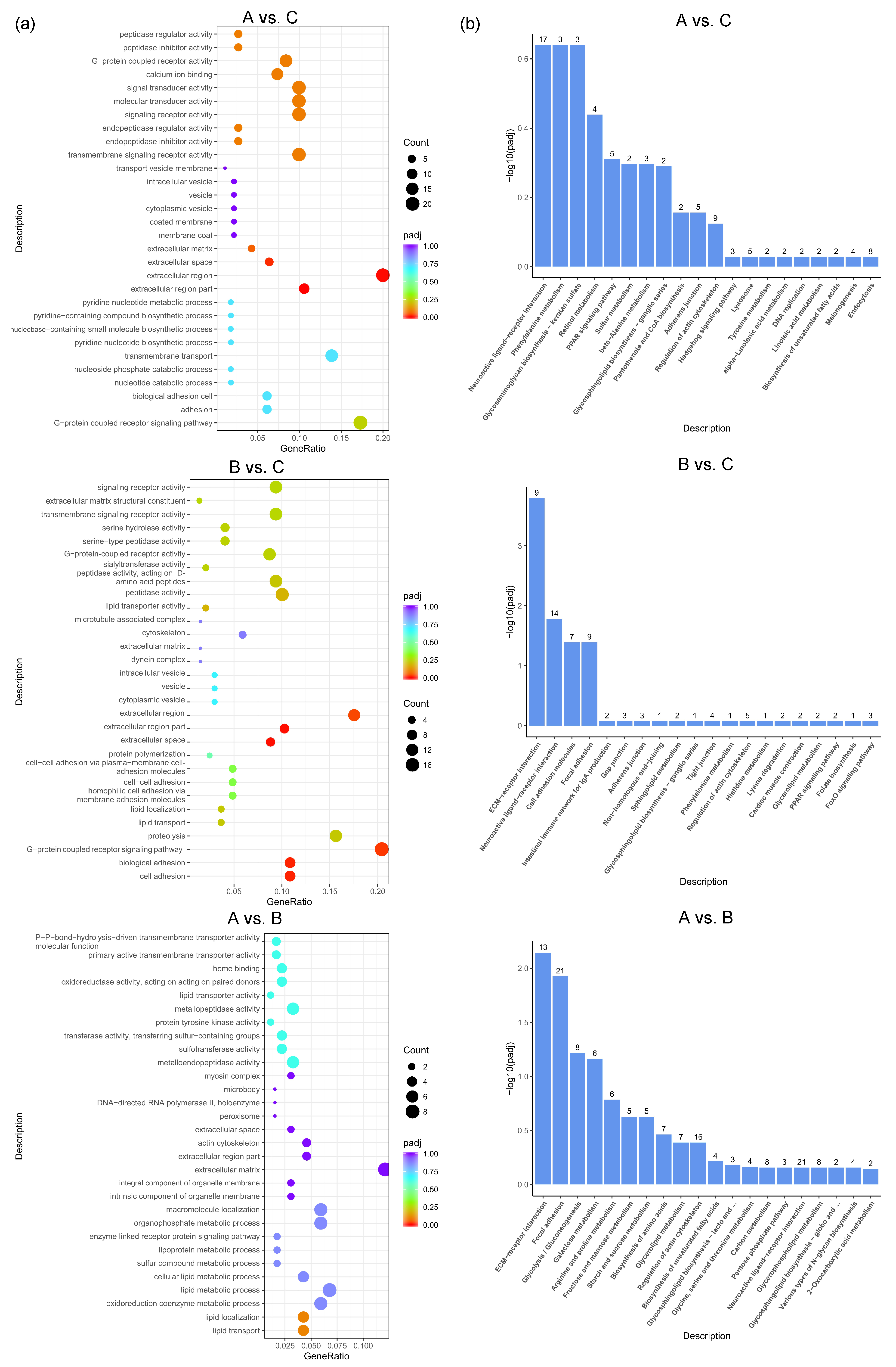 Vetsci 12 00808 g004
