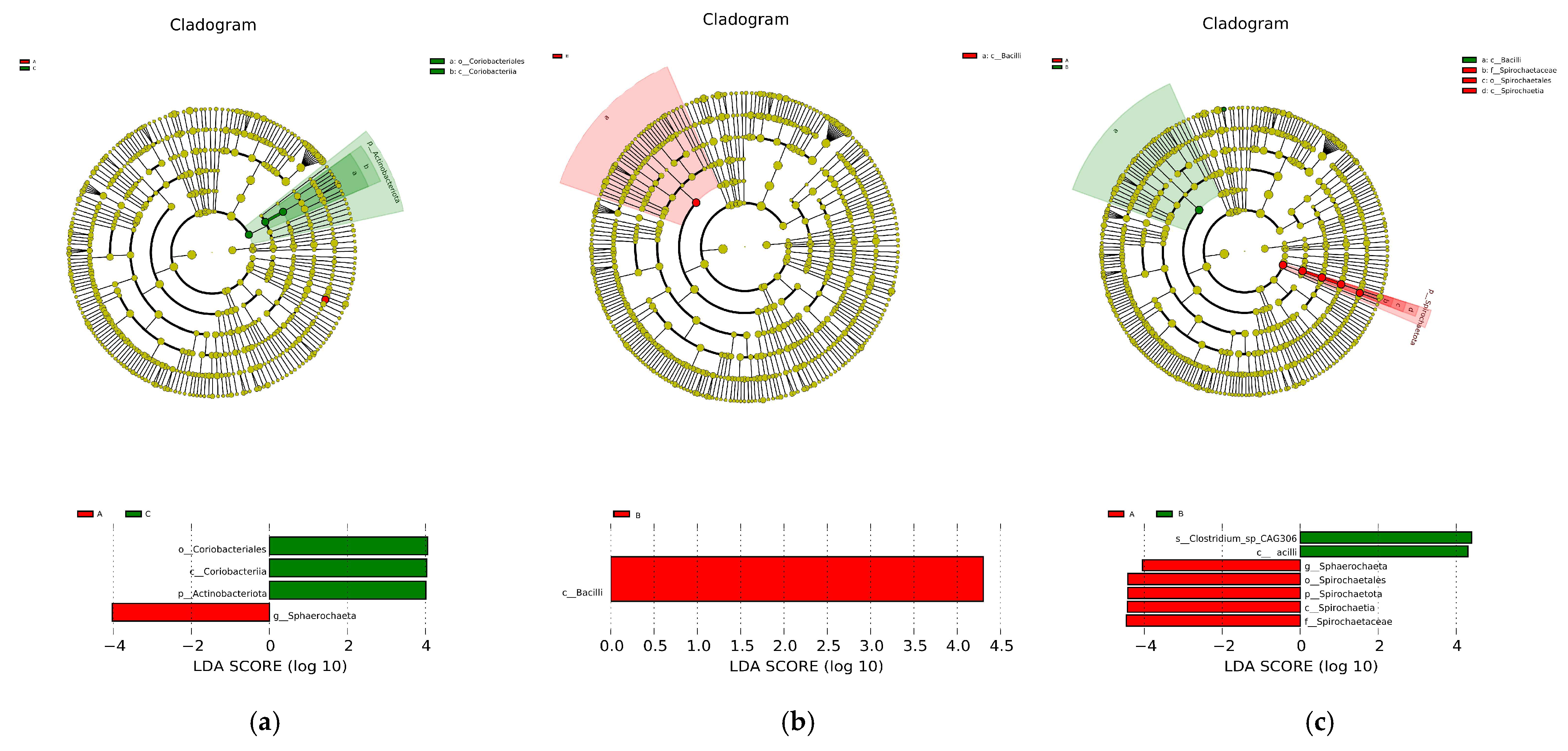 Vetsci 12 00808 g010