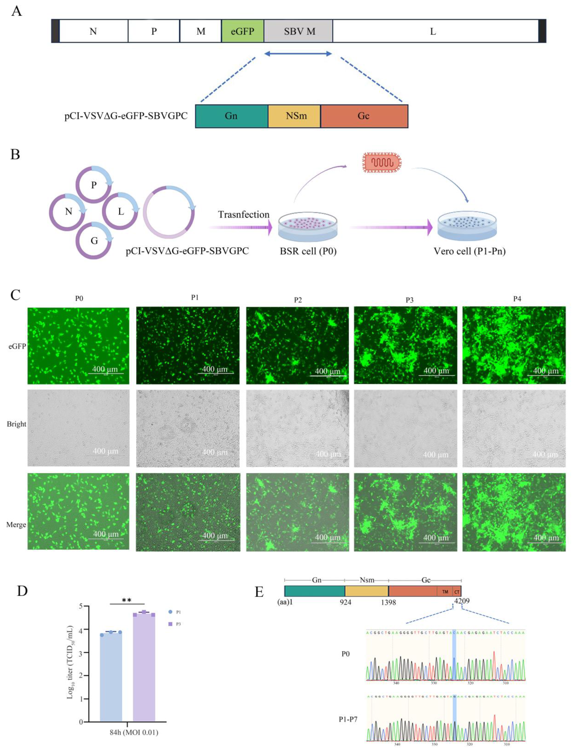 Vetsci 12 00809 g001