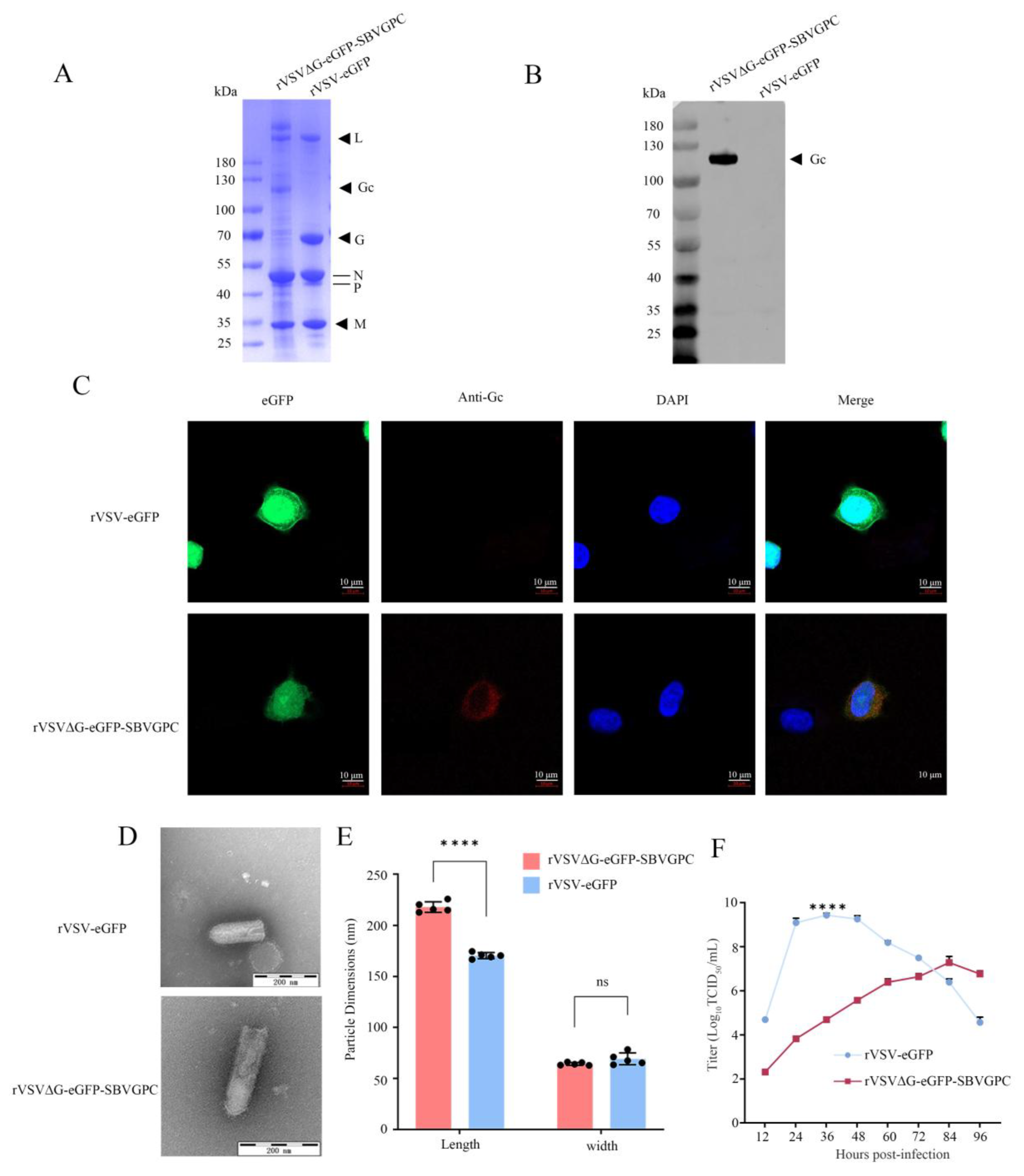 Vetsci 12 00809 g002