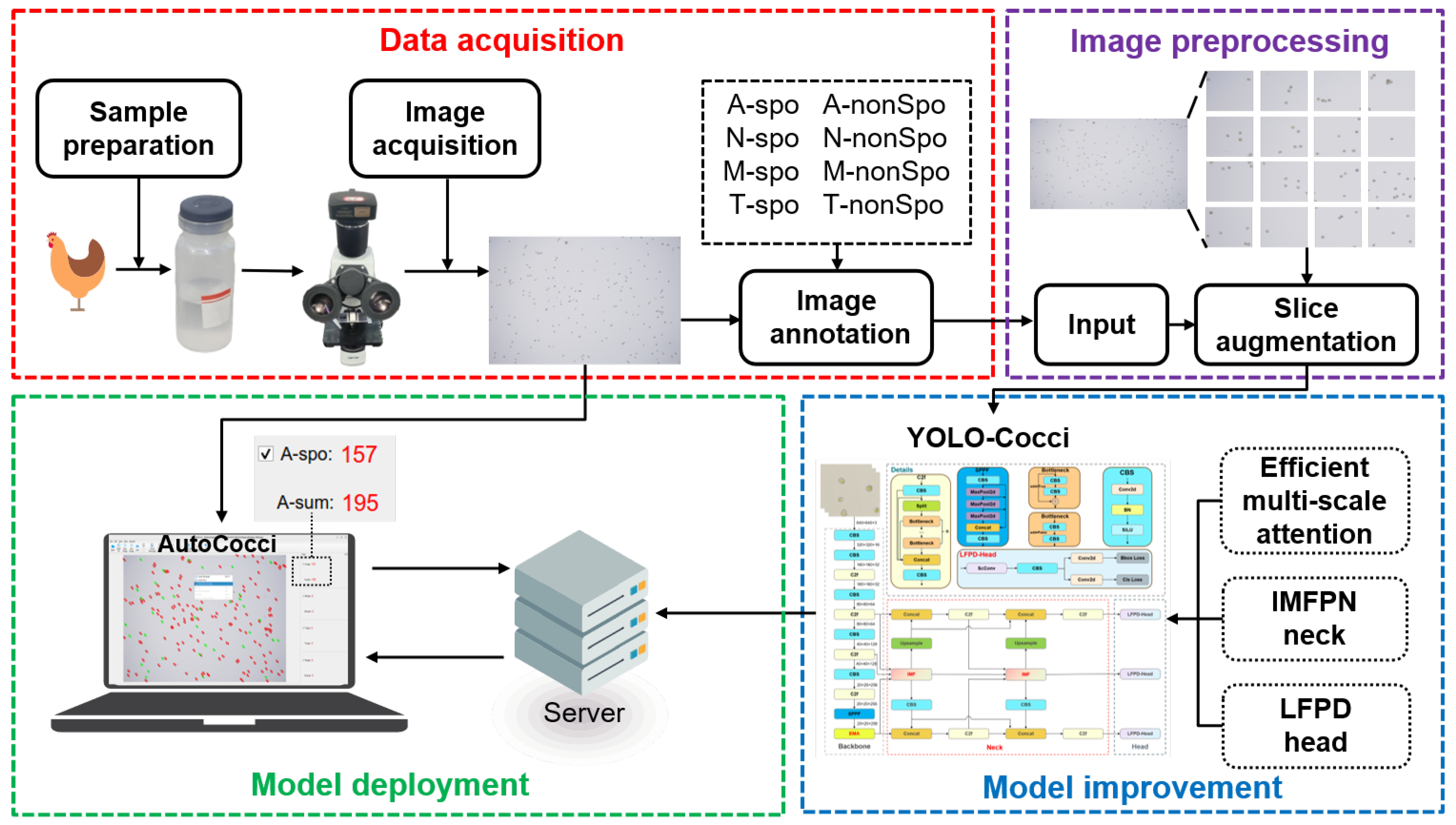 Vetsci 12 00812 g001