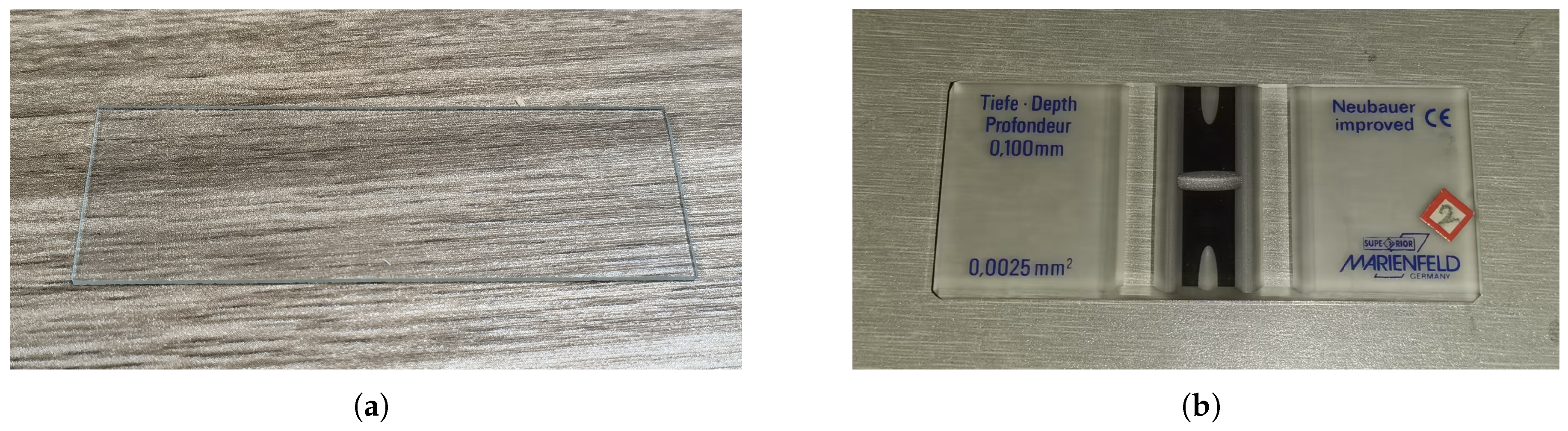 Vetsci 12 00812 g002