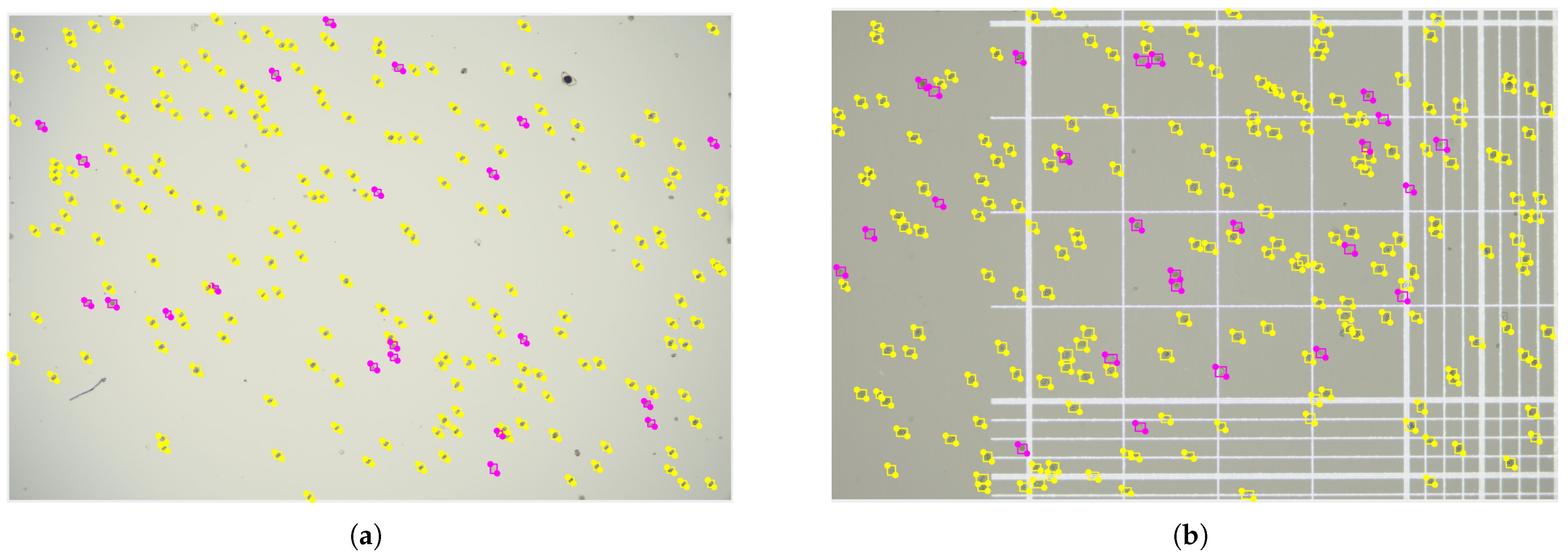 Vetsci 12 00812 g004