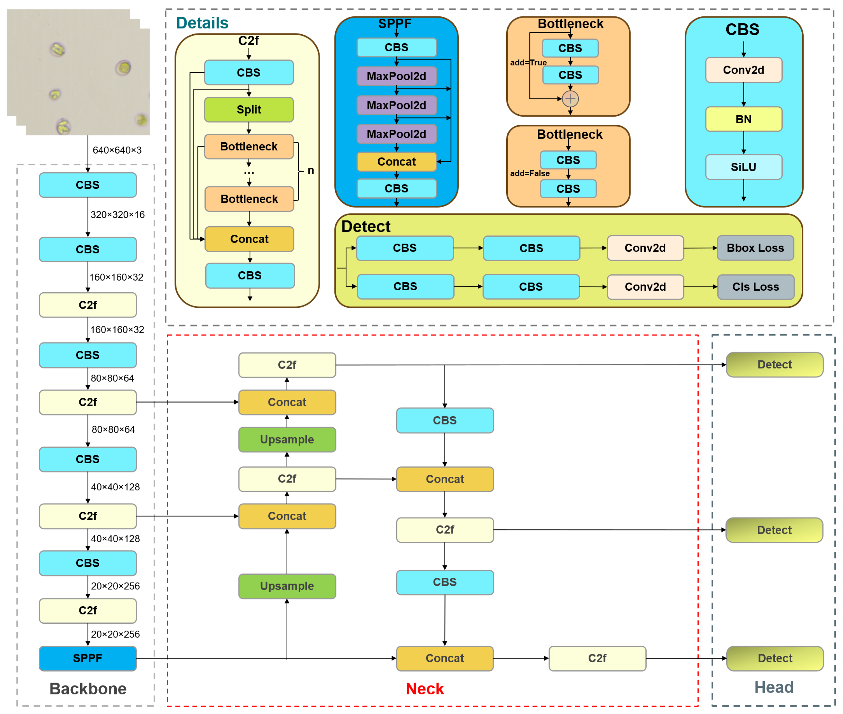Vetsci 12 00812 g007