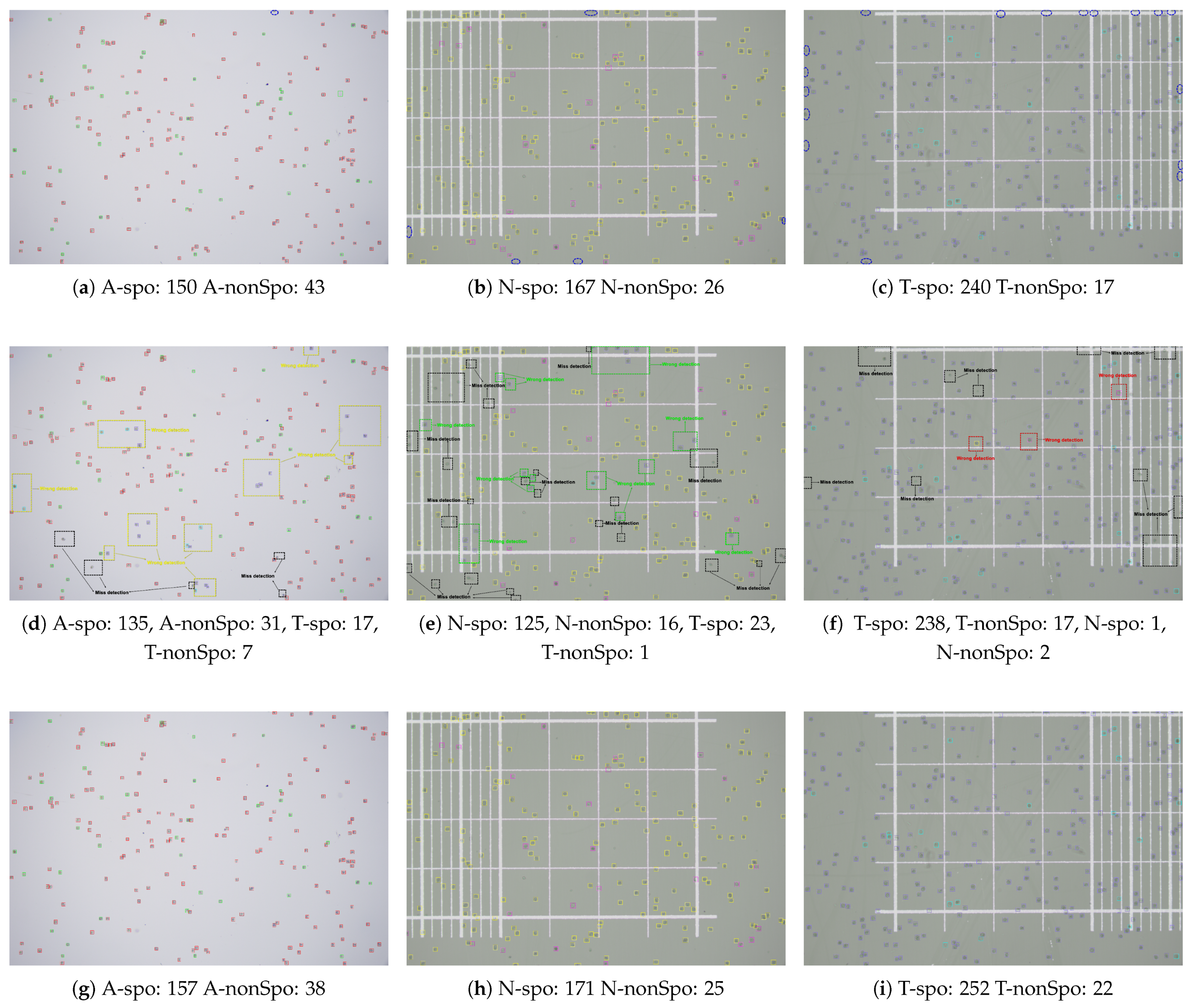 Vetsci 12 00812 g018
