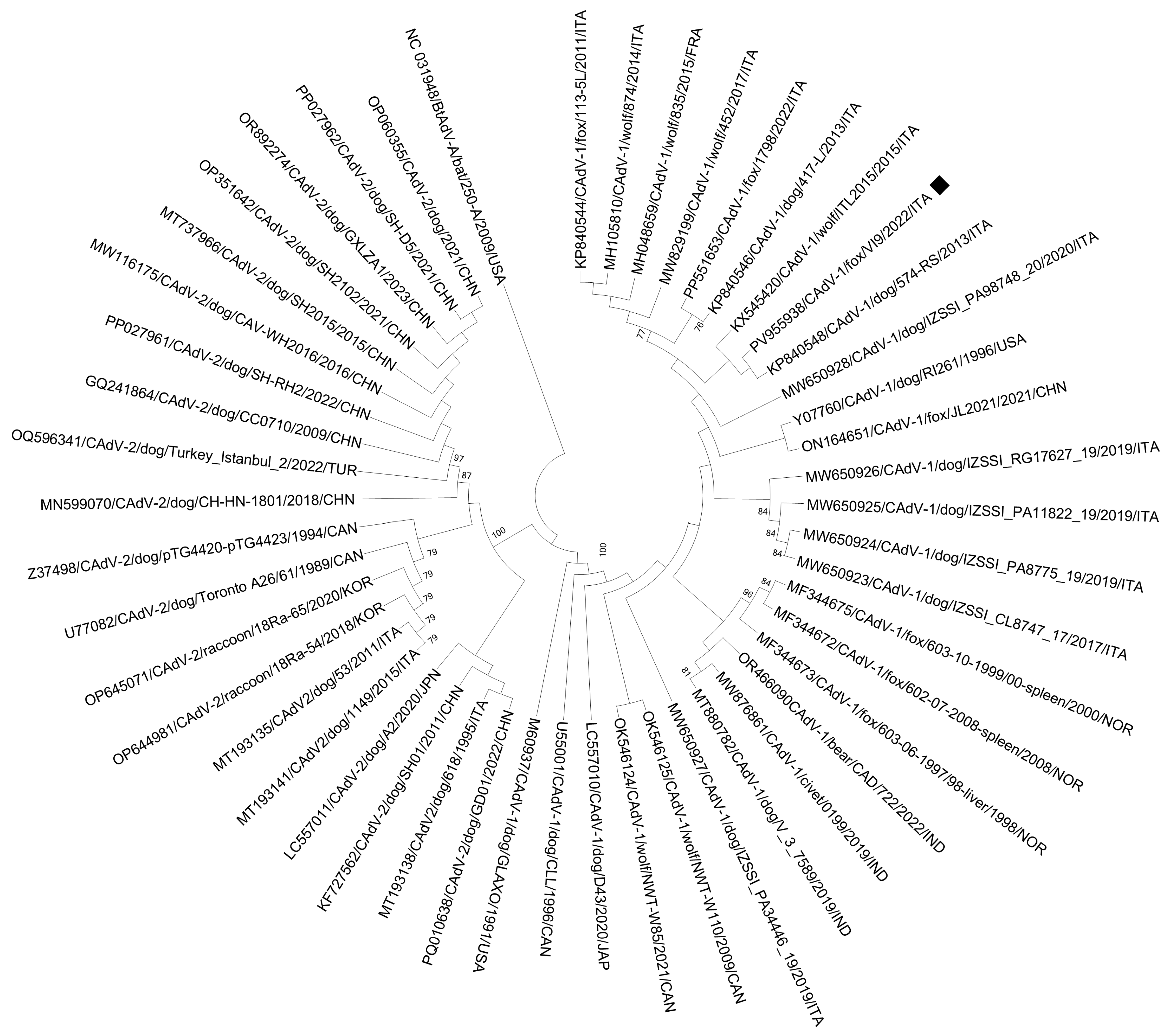 Vetsci 12 00814 g003