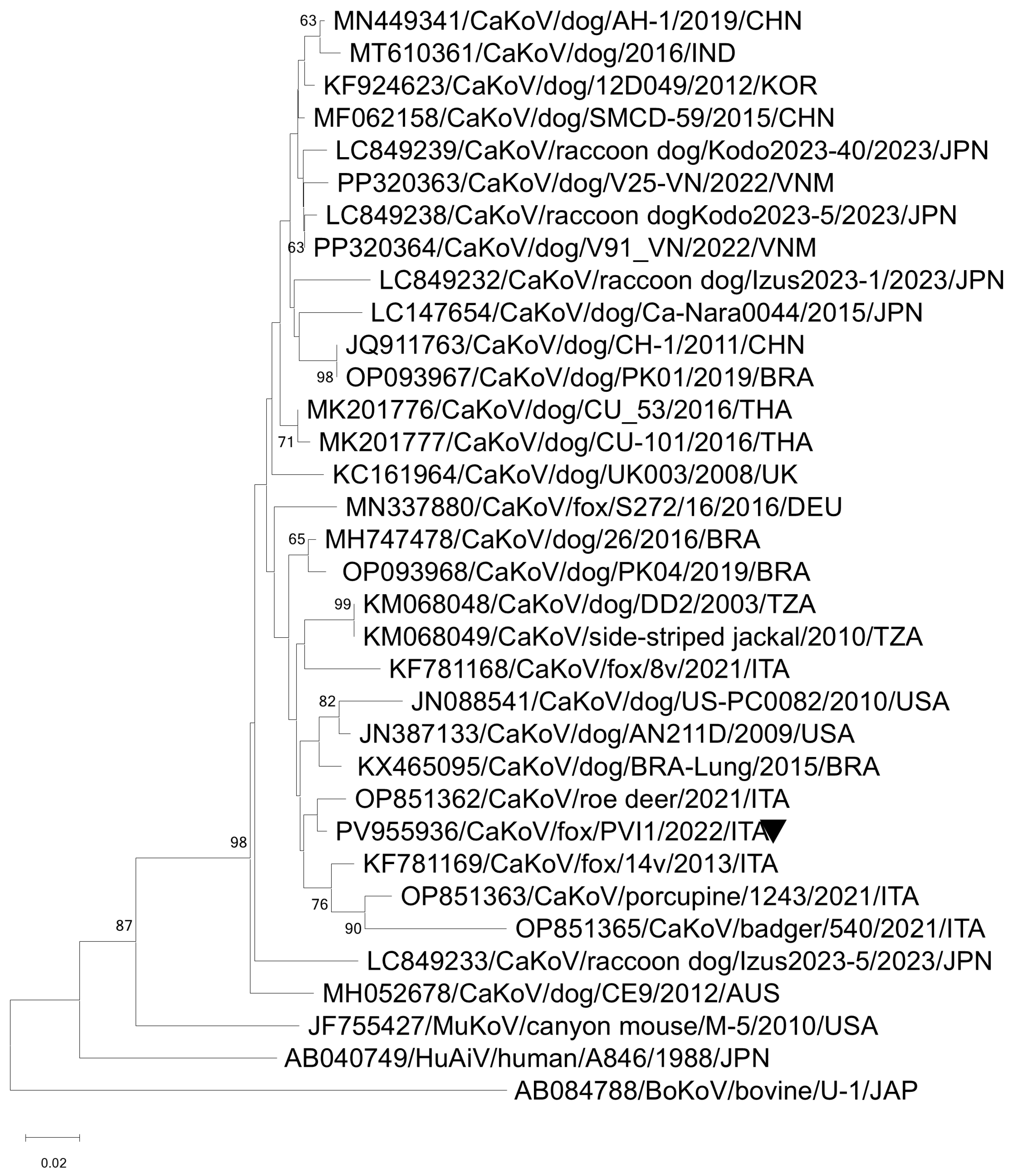Vetsci 12 00814 g004